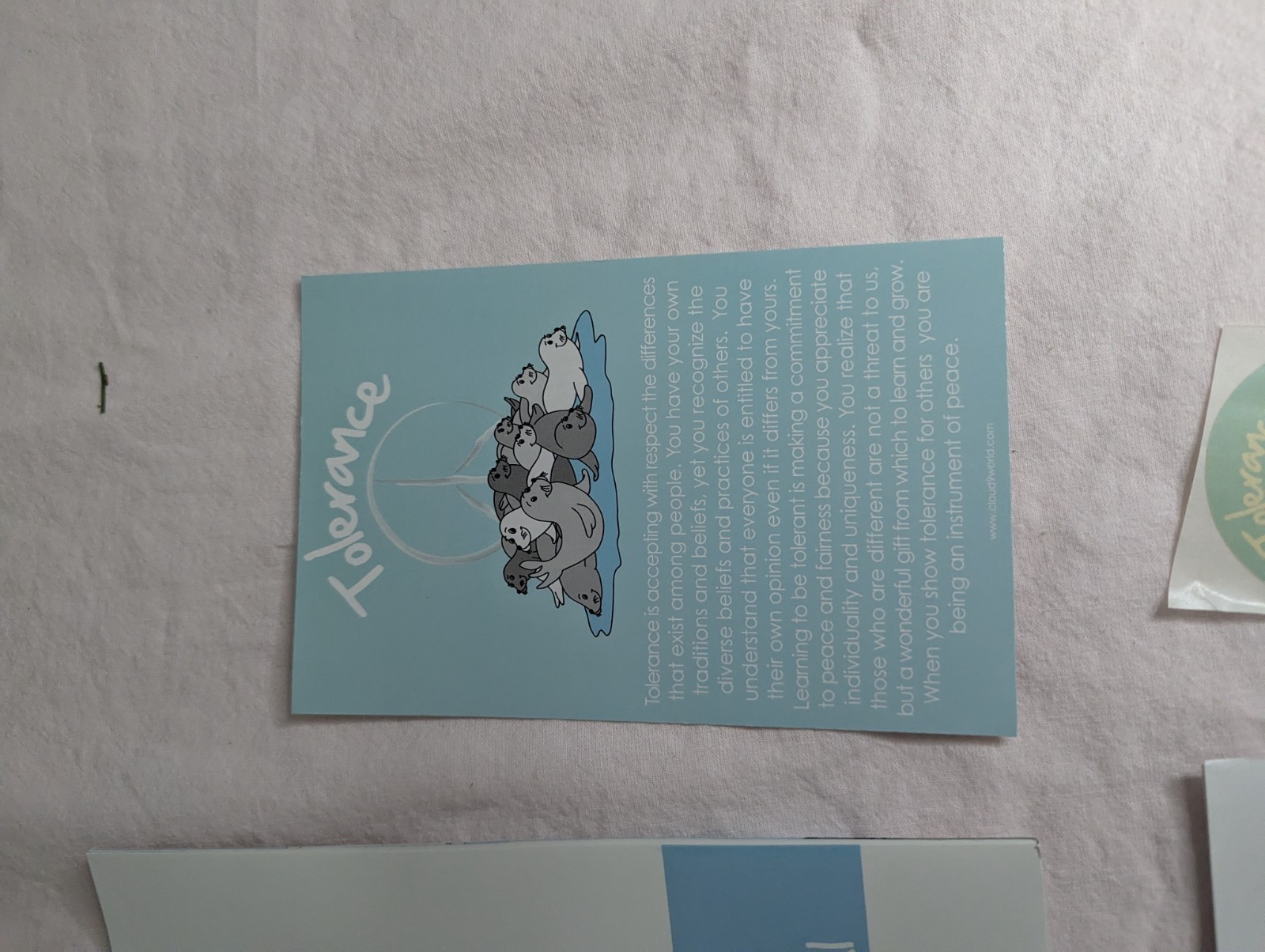 Home School Teachers Cloud 9 world character book TOLERANCE 2nd -5th grade kit