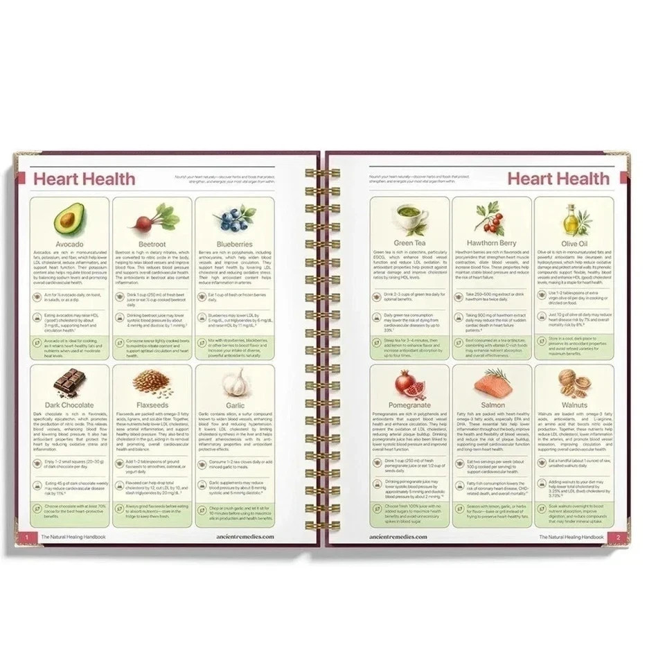 The Natural Healing Handbook, Spiral-Bound Guide For Herbal Remedies And Natural