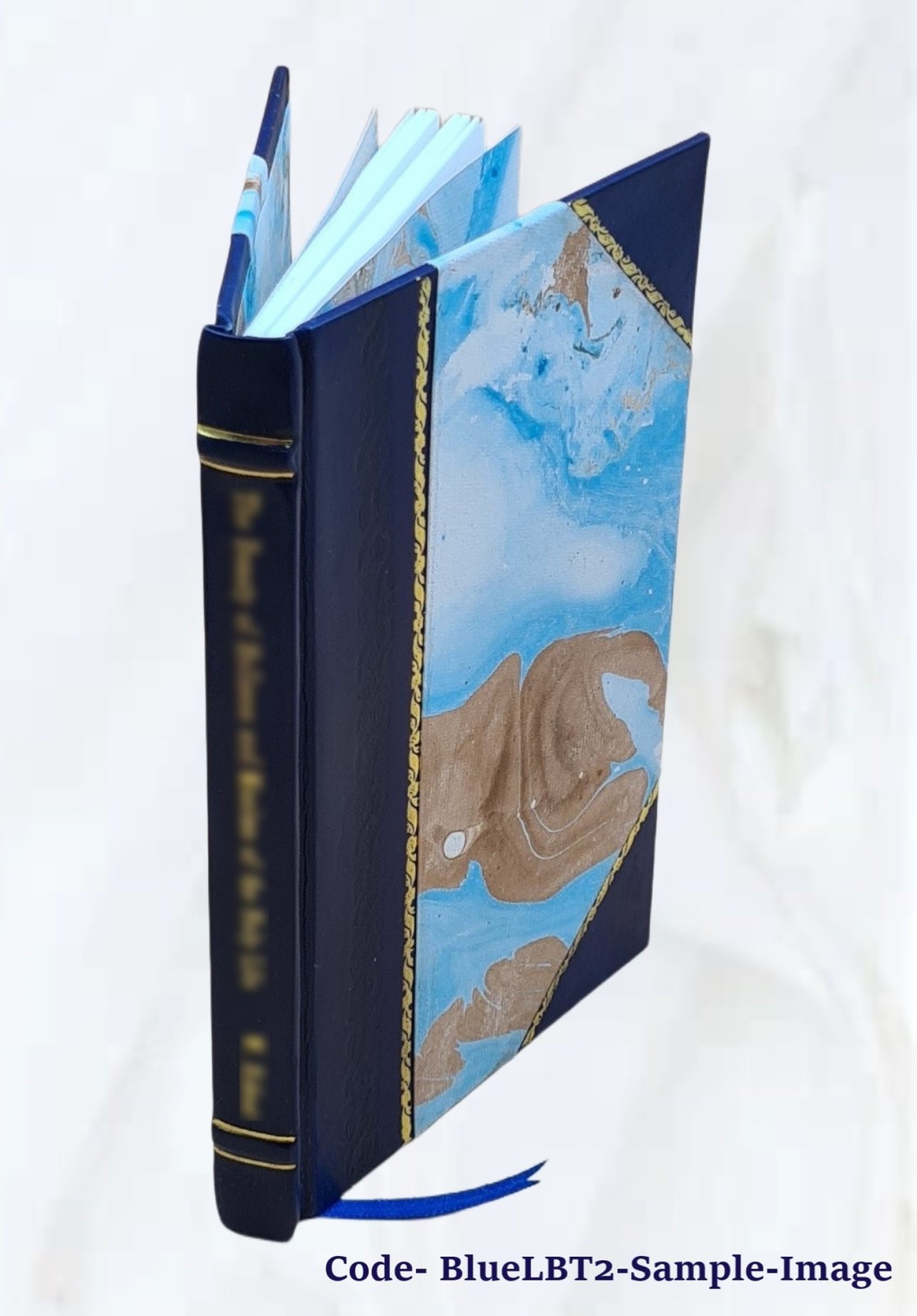 The Art Of Lettering And Sign Painter&rsquo;S Manual : A Complete And [Leather Bound]