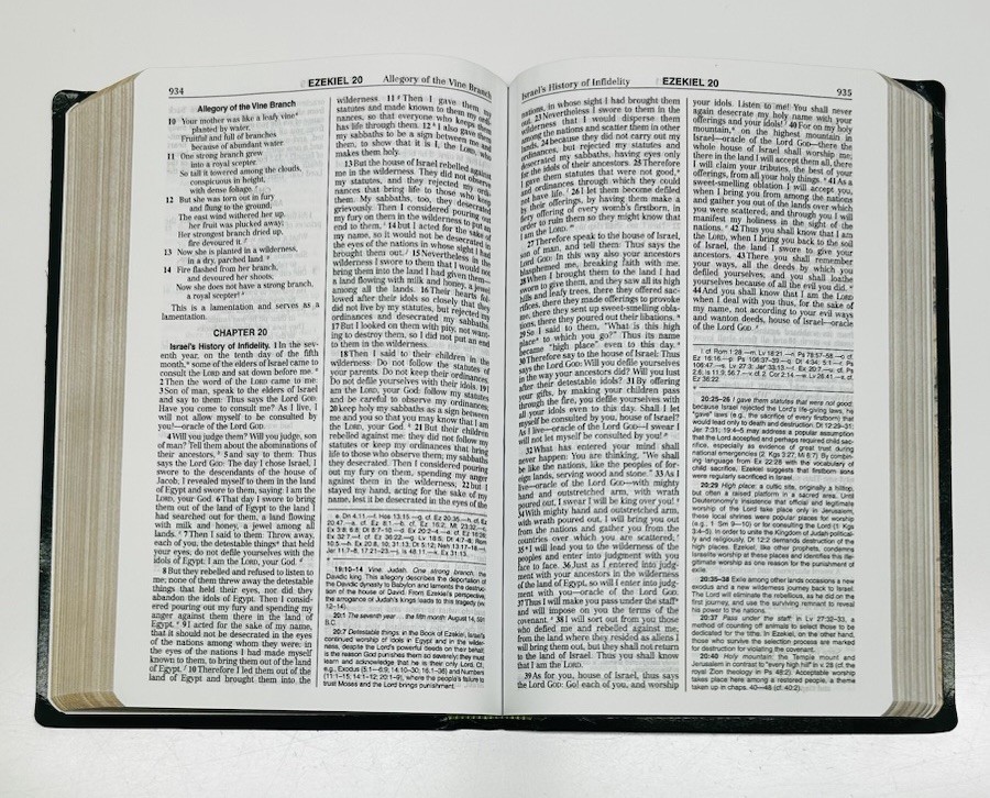 Green THE NEW AMERICAN BIBLE~Official Catholic World Press Bible book~c.2011