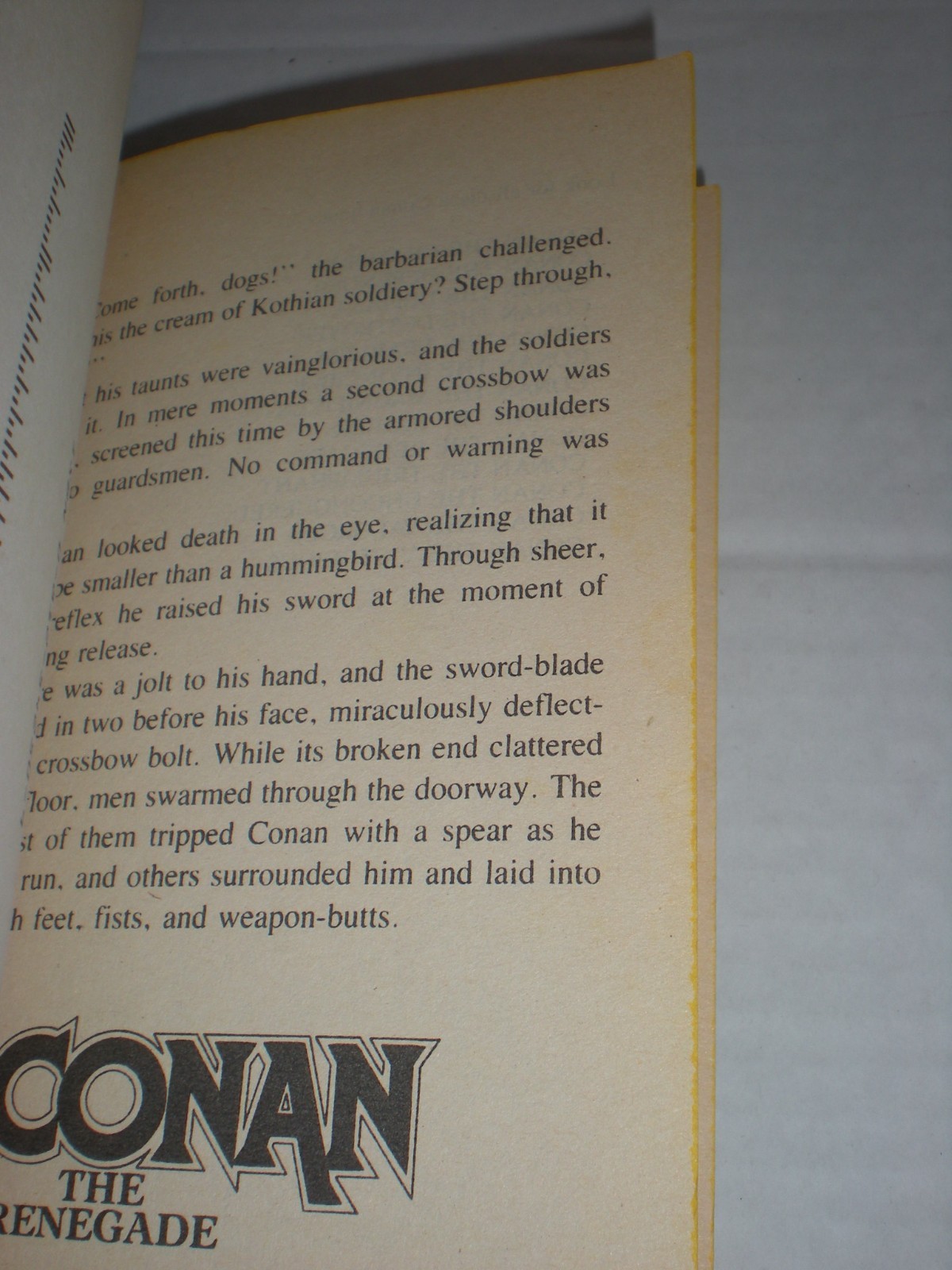 Conan The Renegade by Leonard Carpenter Barbarian Fantasy Paperback 1986 vtg