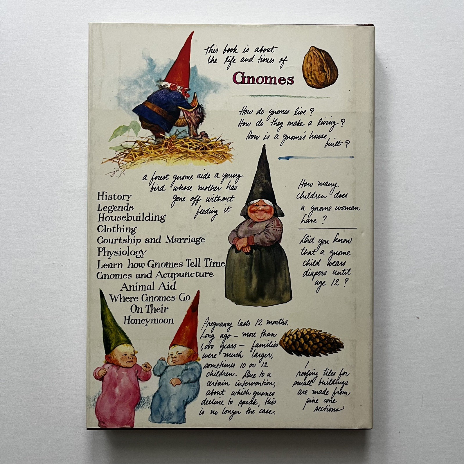 GNOMES Poortvliet Huygen 1977 First Edition HC DJ Illustrated Fantasy Abrams
