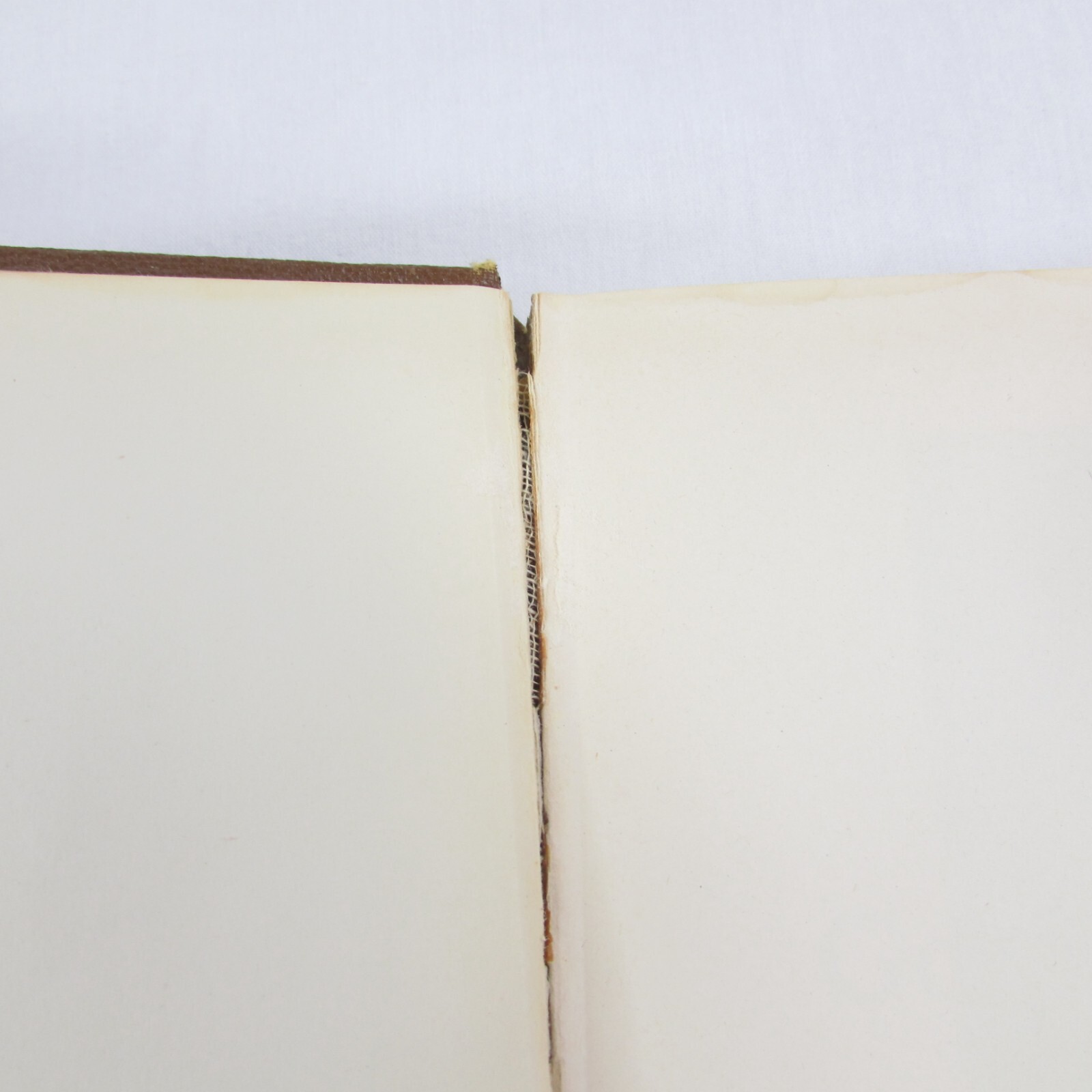 Dispensational Truth or God&rsquo;s Plan & Purpose in the Ages Clarence Larkin 1920 HB