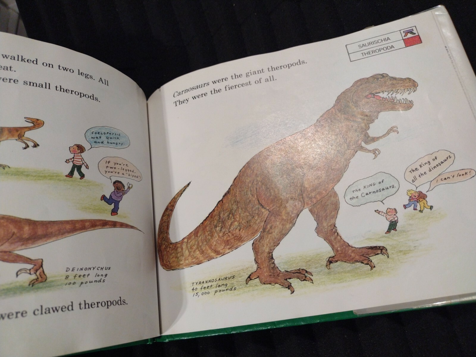Let&rsquo;s-Read-and-Find-Out-Science Ser.: Dinosaurs Are Different by Aliki (1985,…