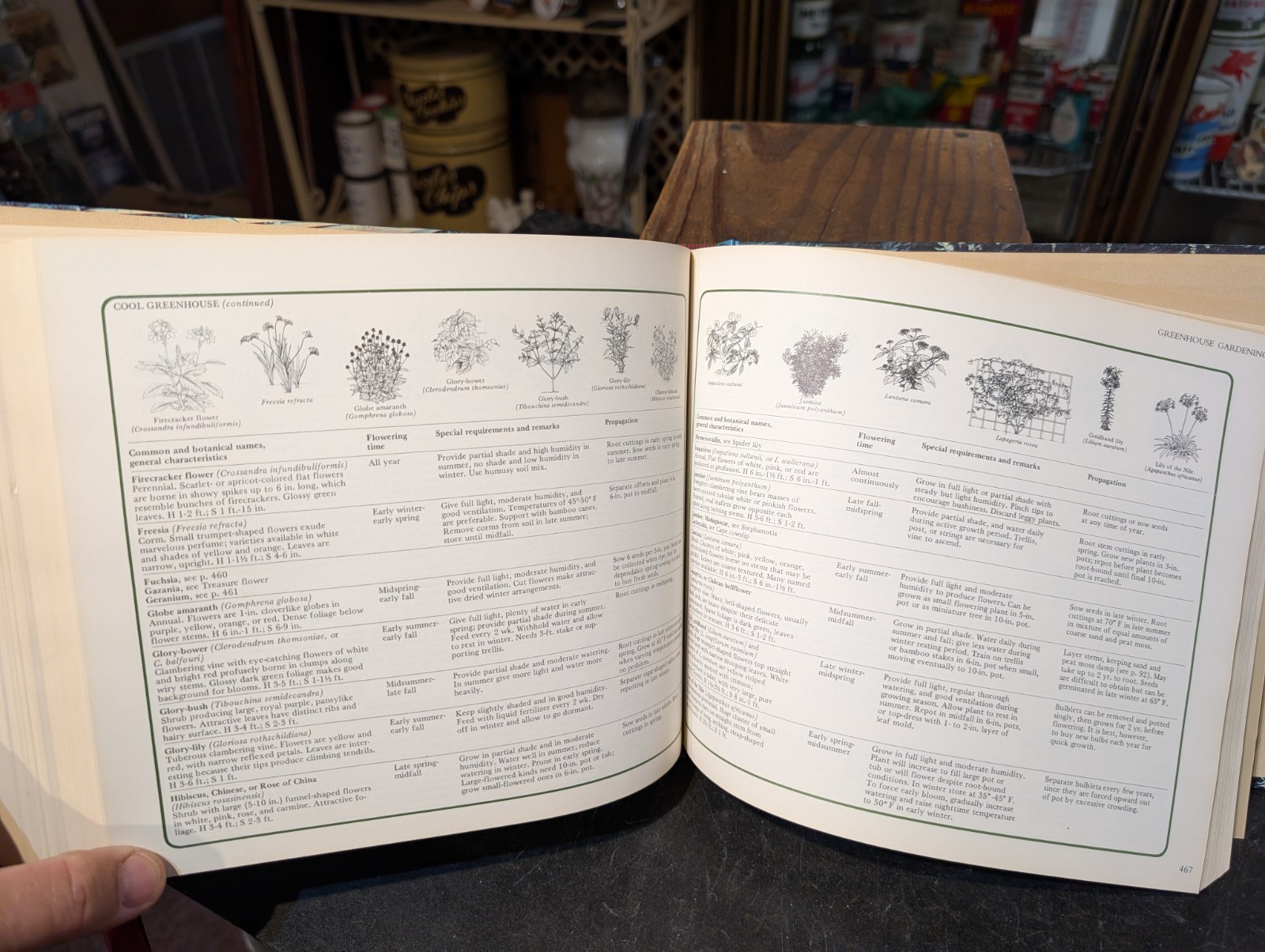 Original 1978 Reader&rsquo;s Digest Illustrated Guide To Gardening 672 Pages