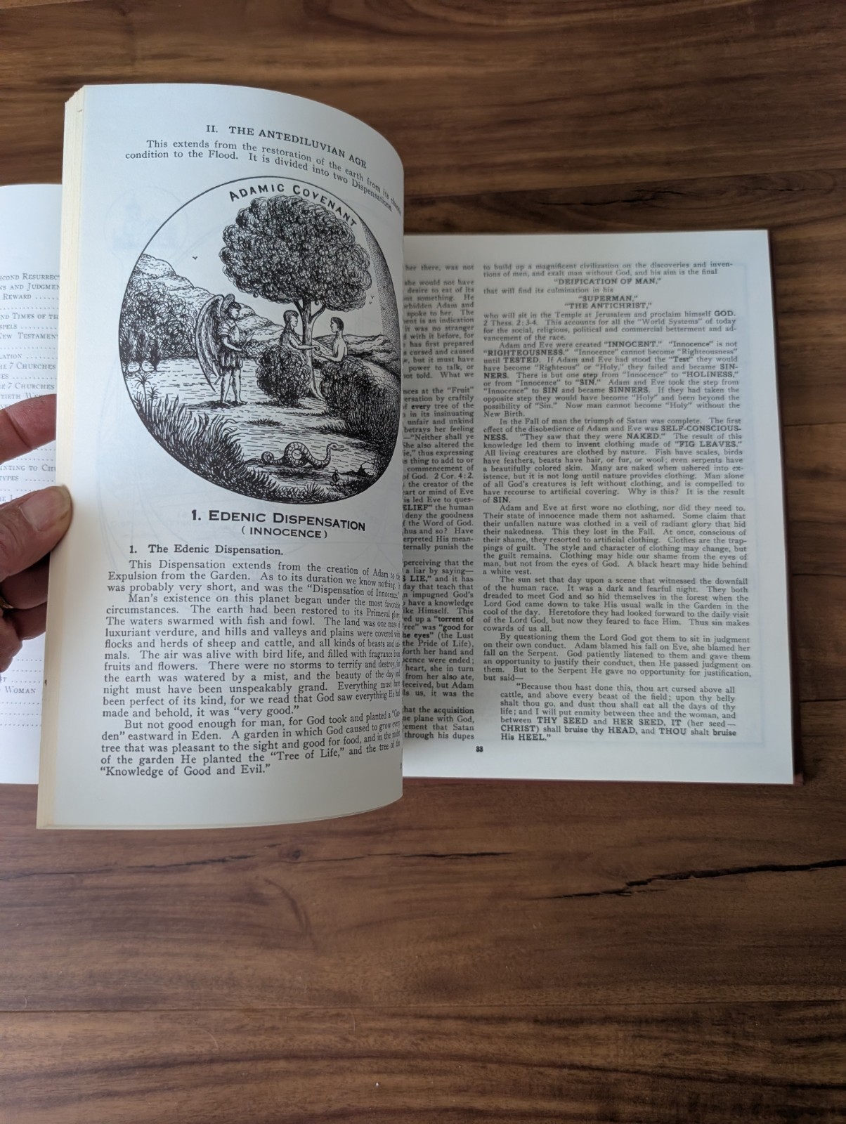 Vintage: Dispensational Truth or God&rsquo;s Plan and Purpose Clarence Larkin HC