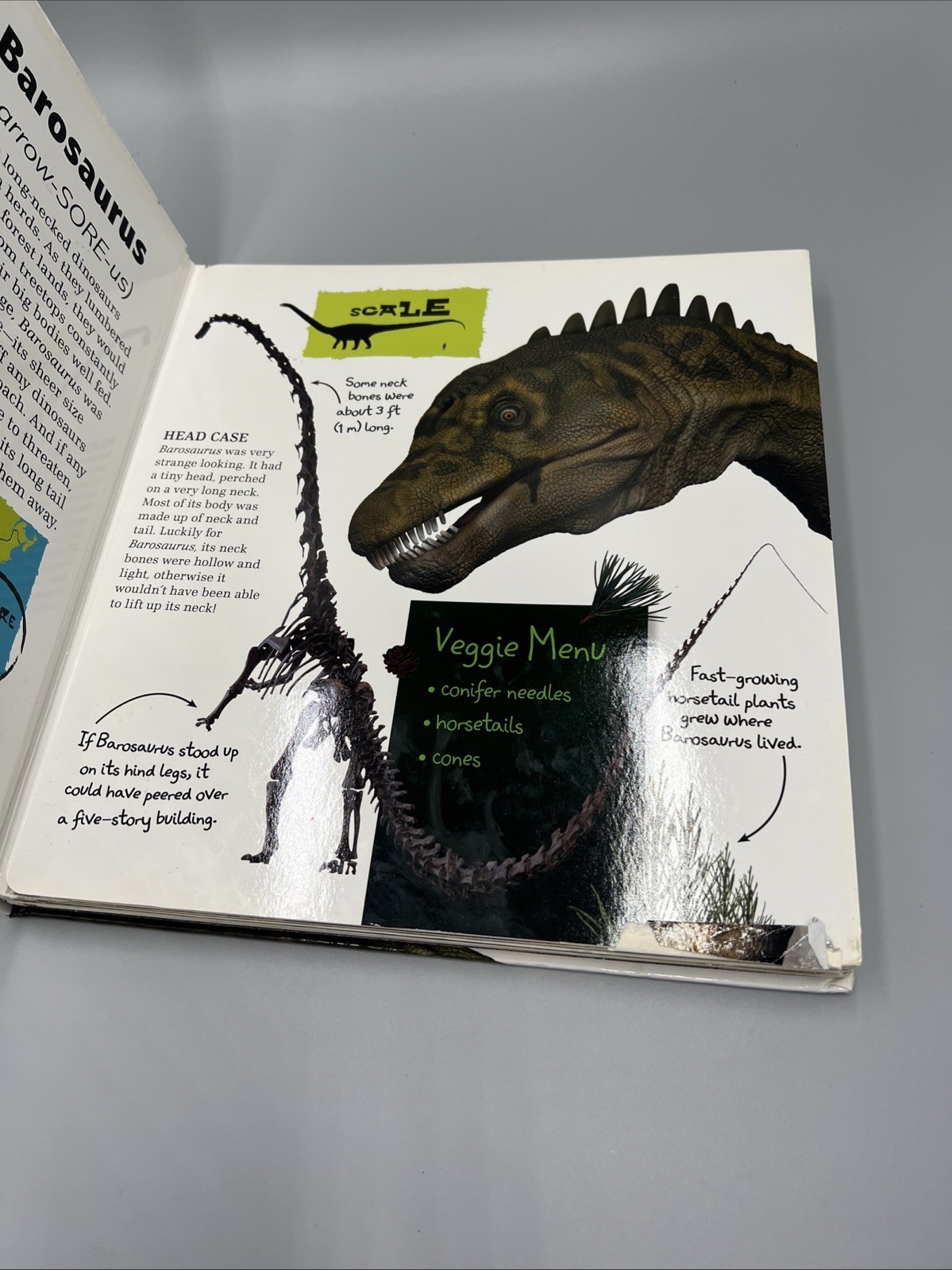 Amazing Giant Dinosaurs by DK (2012, Hardcover), Kids Thick Page Book
