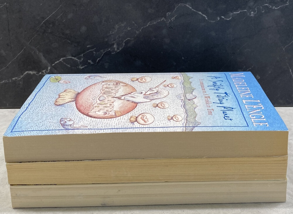 3 bk Lot, Madeleine L&rsquo;Engle A Wrinkle in Time, Wind in the Door, Swiftly Tilting
