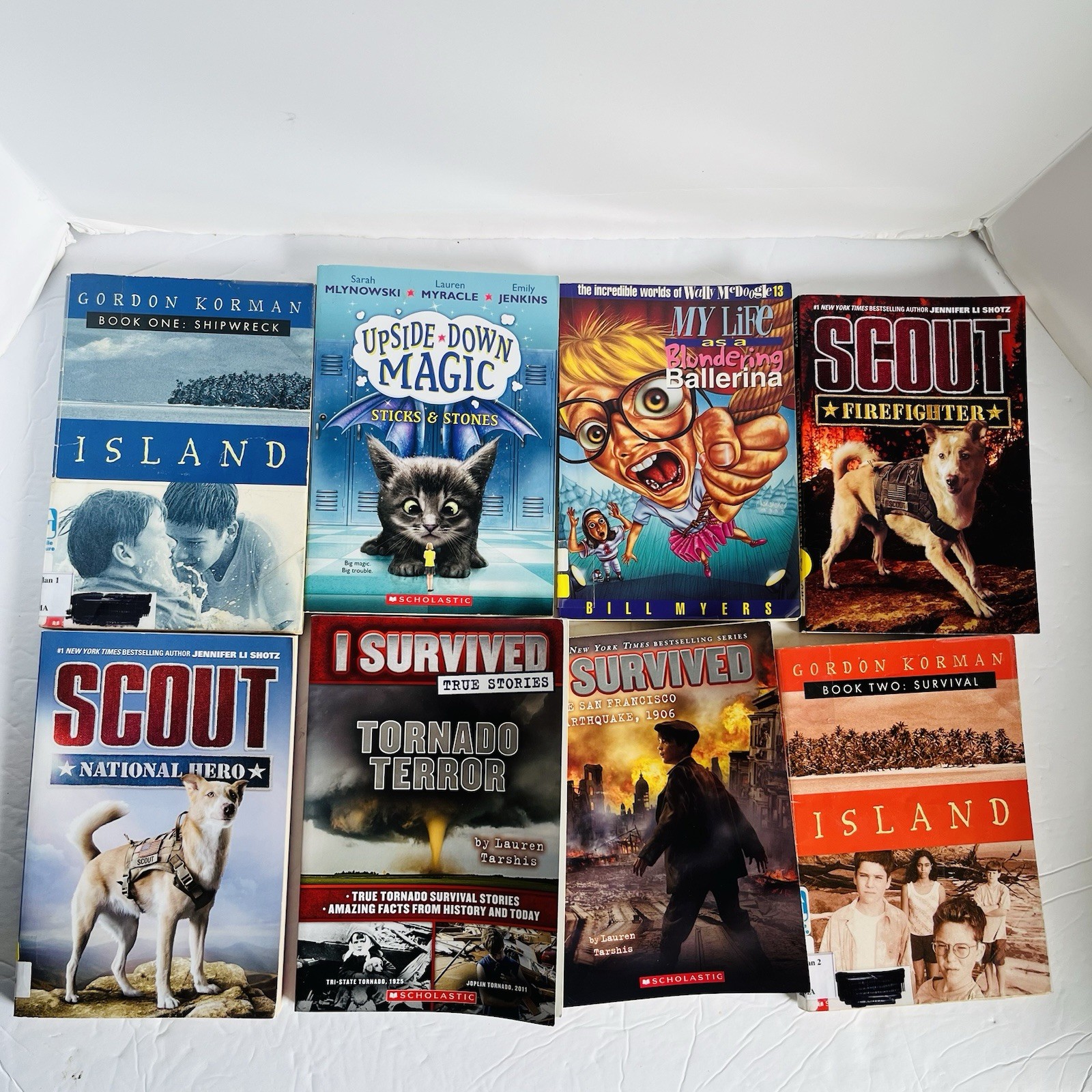 Lot of 10 Random 4th grade Children&rsquo;s Kids Chapter Book Some series Elementary