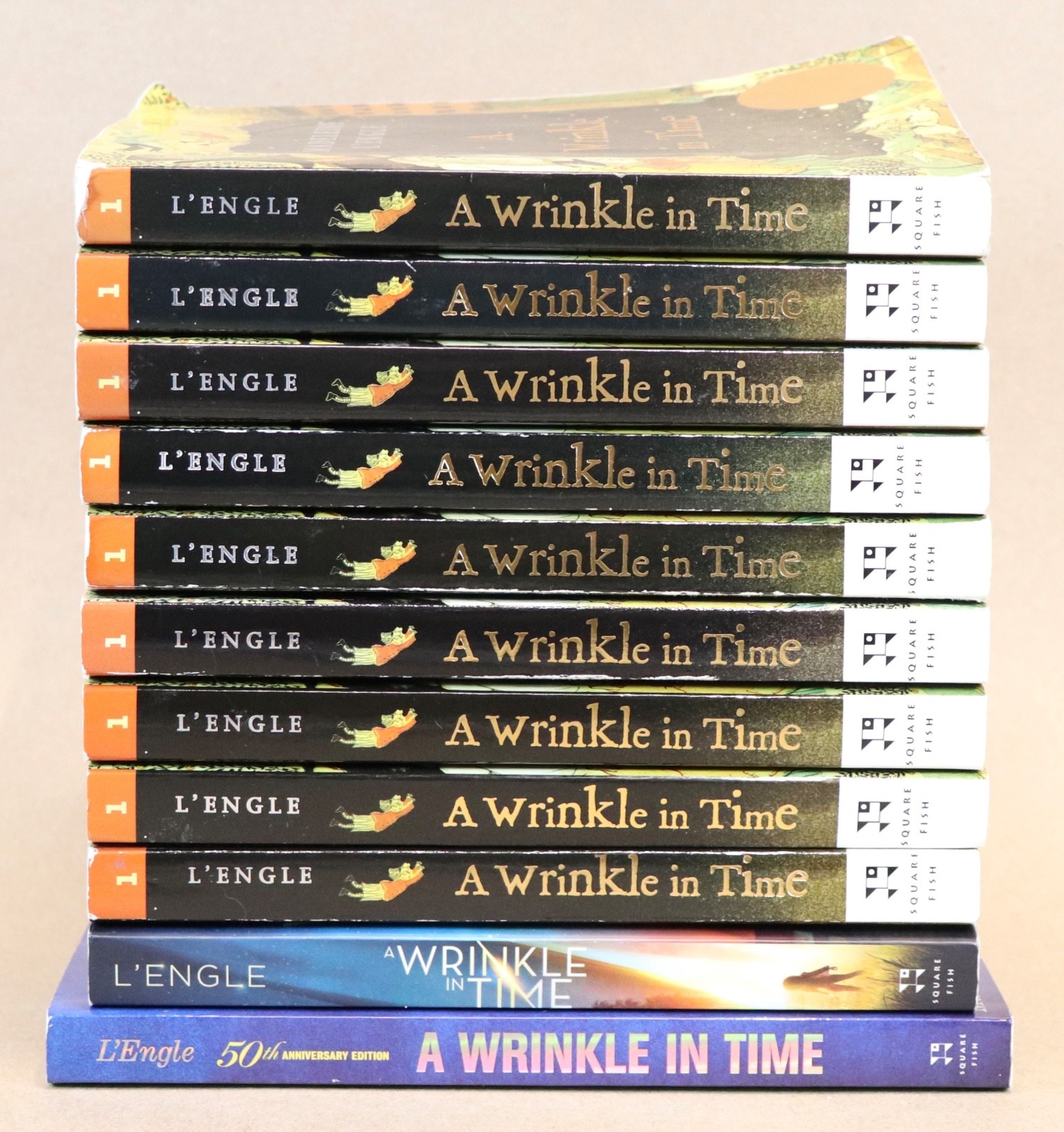 Lot of 11 A Wrinkle In Time by Madeleine L&rsquo;Engle GUIDED READING Teachers Set