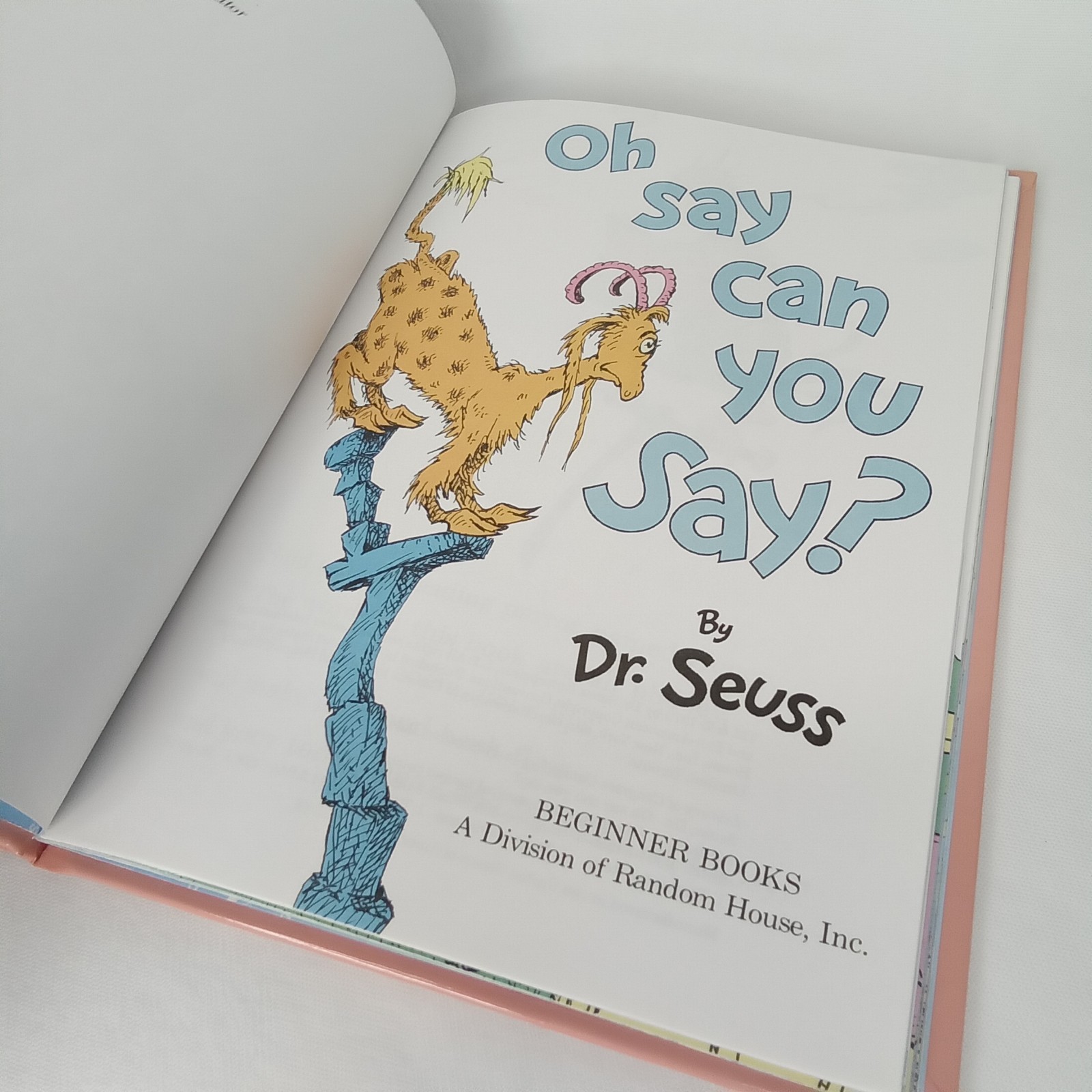 Vintage 1970s Hardcover Children&rsquo;s Book Oh Say Can You Say By Dr Seuss