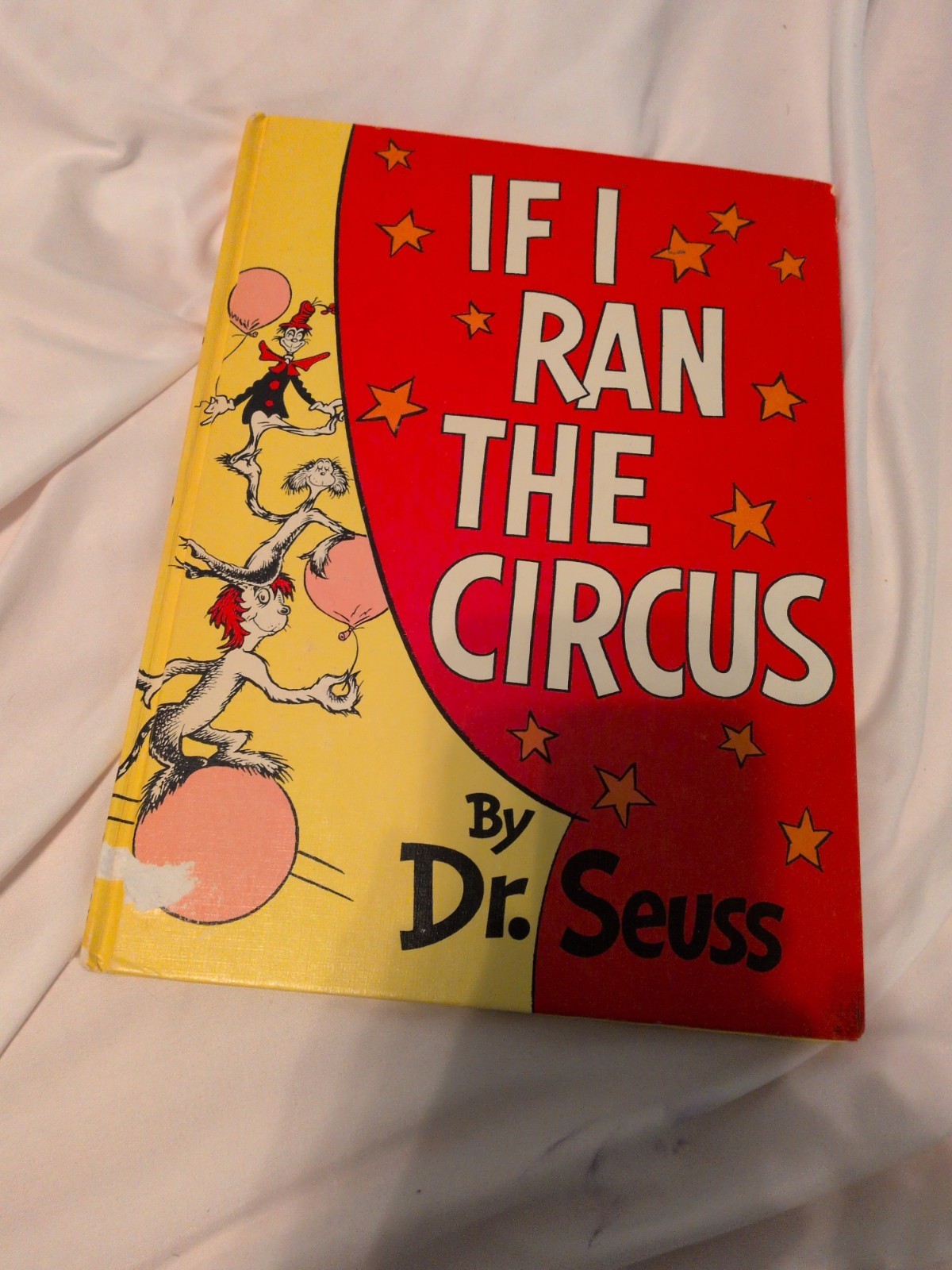 Lot Dr Seuss Books