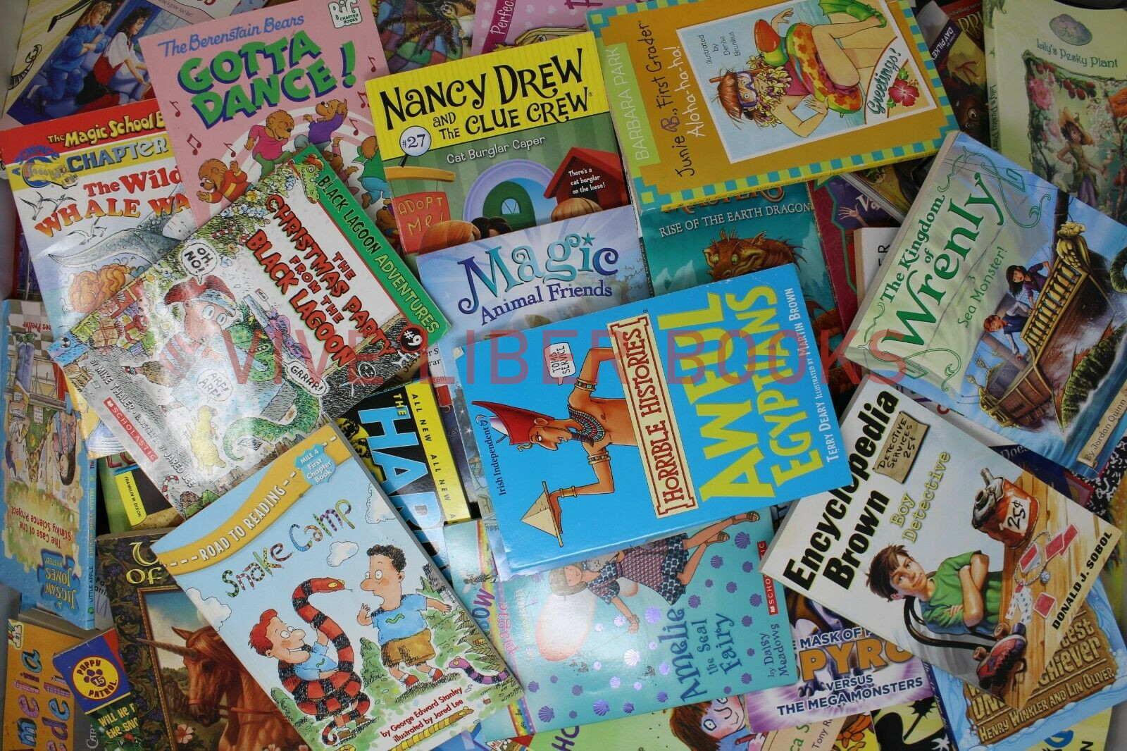Bulk/Huge Lot of 50 of Children&rsquo;s Kids Chapter Books – Random – Free Shipping!