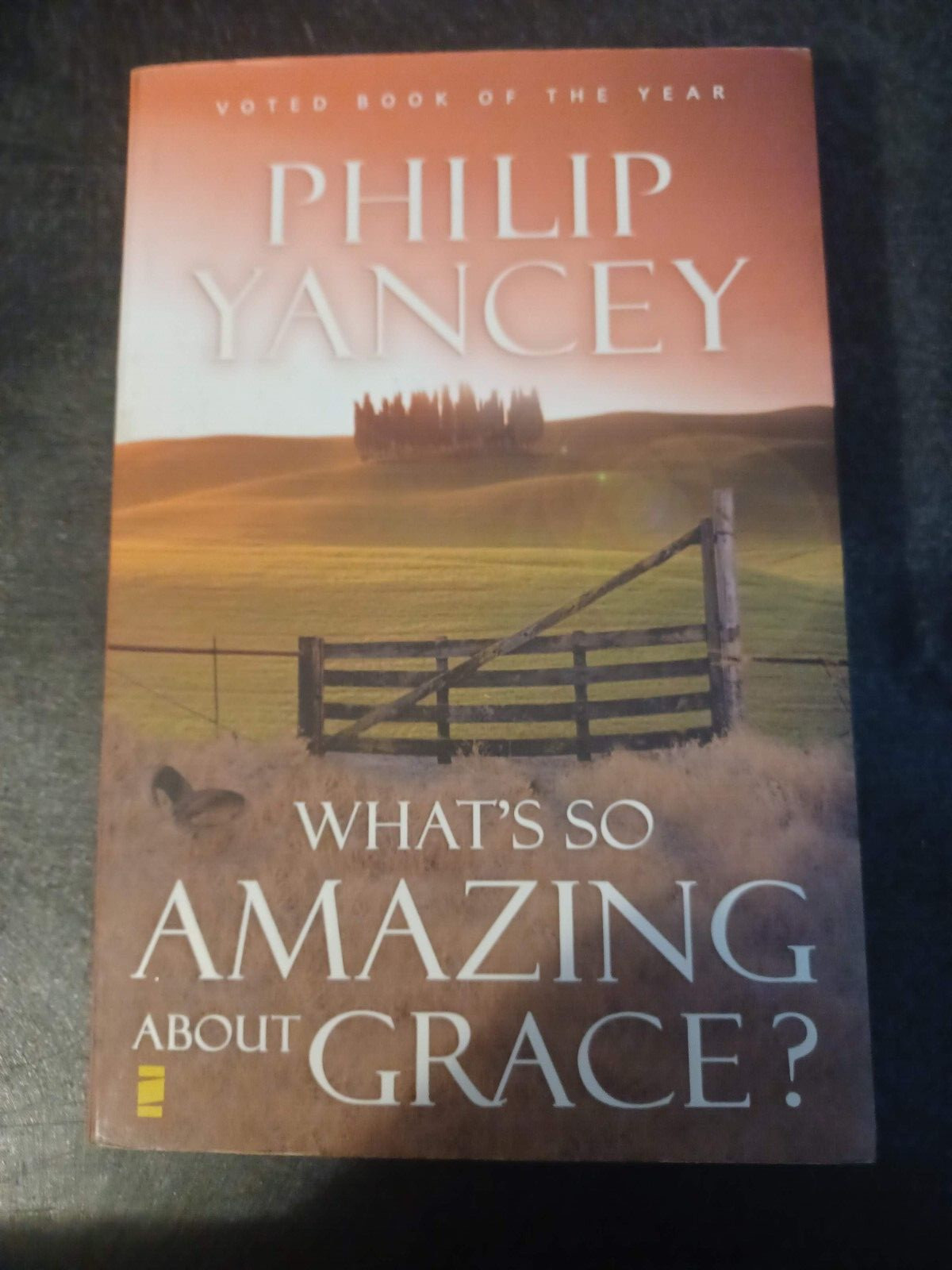 What&rsquo;s So Amazing About Grace? Study Guide – Paperback By Phillip Yancey – GOOD