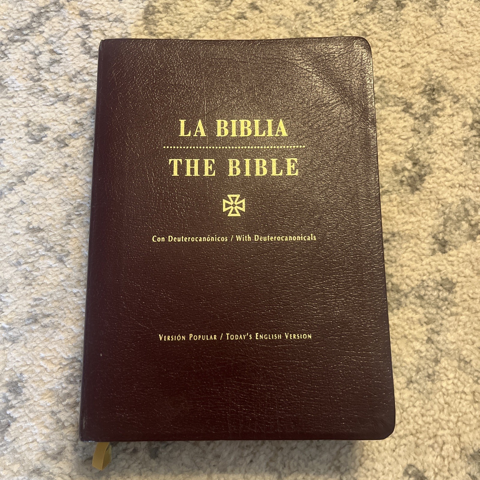 Bilingual Bible – Spanish/English Edition