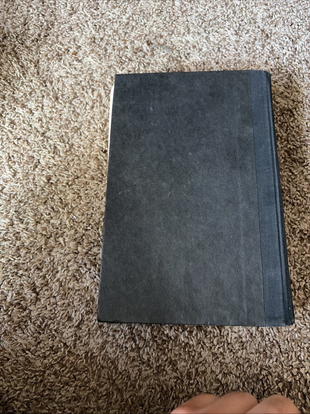 The Great Shark Hunt by Hunter S. Thompson (1979, HC/NoDJ) 1st Ed