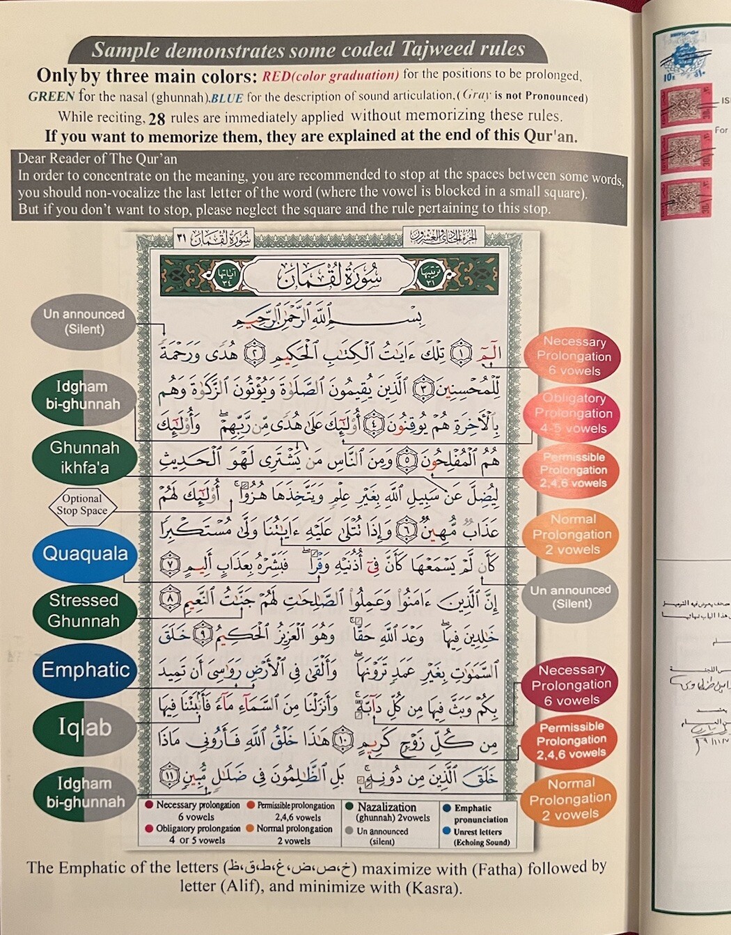 Quran Tajweed with Translation In English 7in X 10in