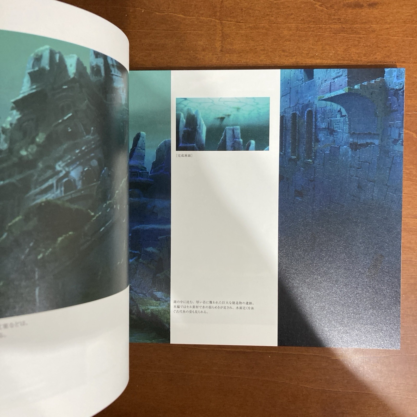 Makoto Shinkai Children Who Chase Lost Voices Art Book Illustration