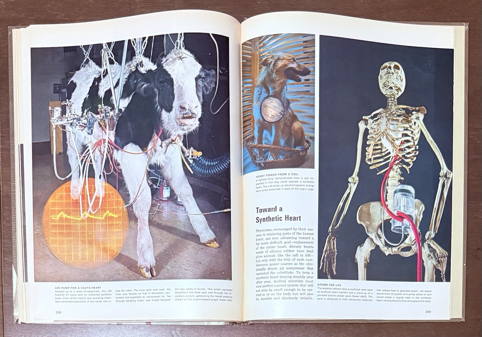 The Physician by Russel V. Lee & Sarel Eimerl, Time Life Science Library. Learn
