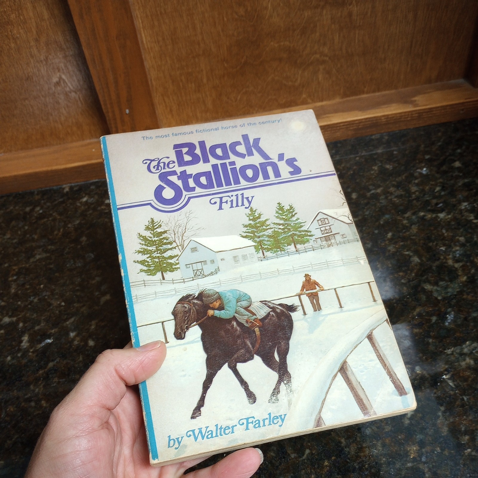 The Black Stallion Set Of varies Paperback Books 1980’s Walter Farley LOT of 6