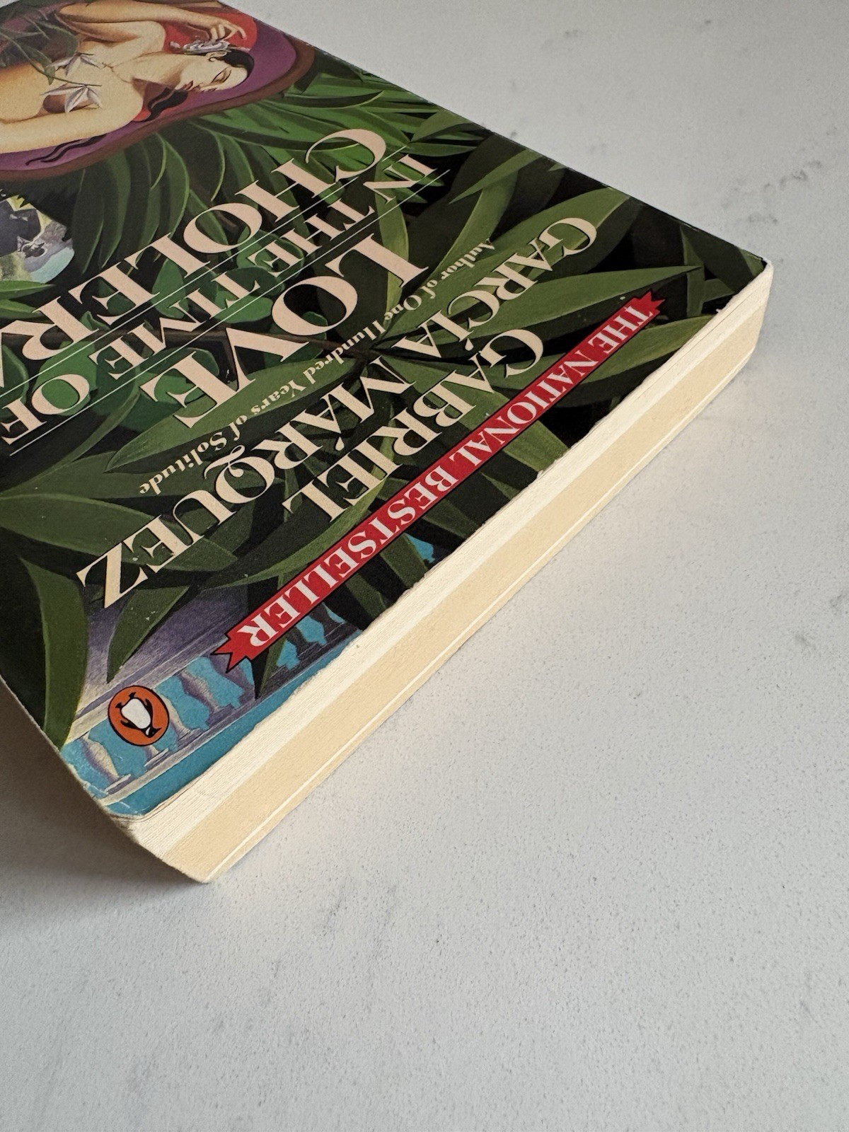 Gabriel García Márquez Love in the Time of Cholera Paperback Penguin Fiction