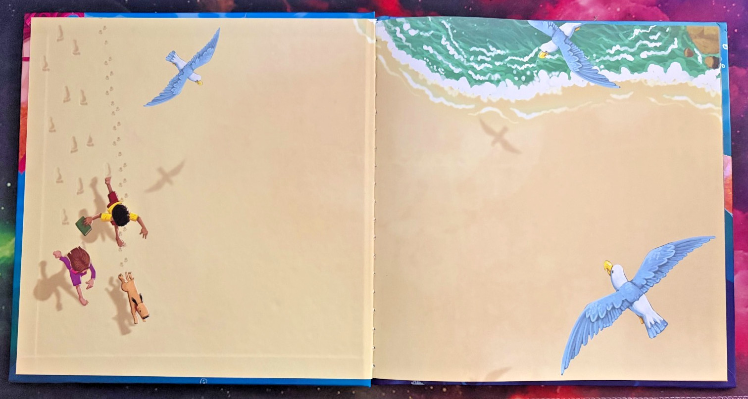 How to Catch a Mermaid – Adam Wallace & Andy Elkerton, 149266247, Hardcover