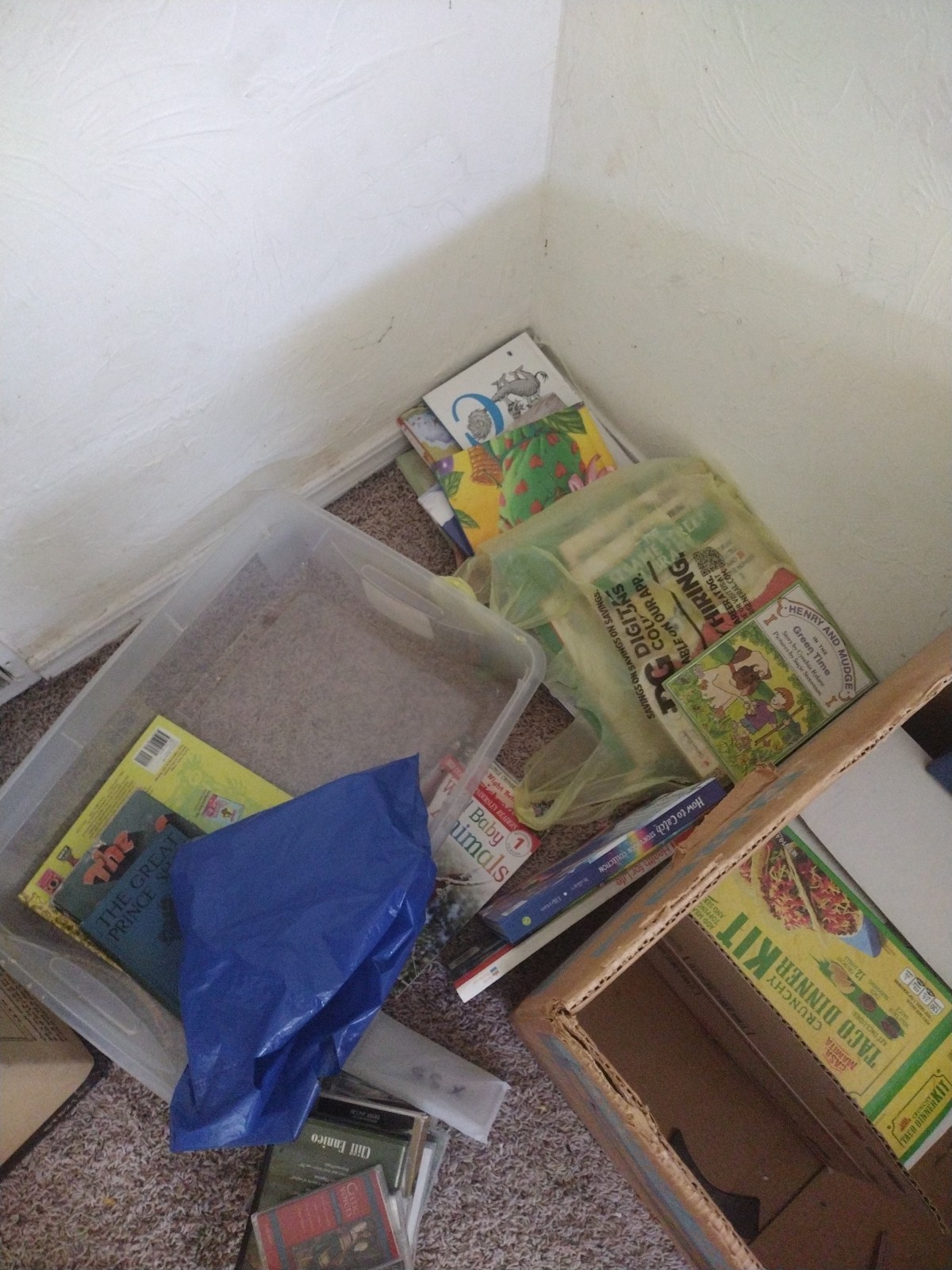Bulk/Huge Lot of 50 Children&rsquo;s Kids Chapter Books – Random – Free Shipping!