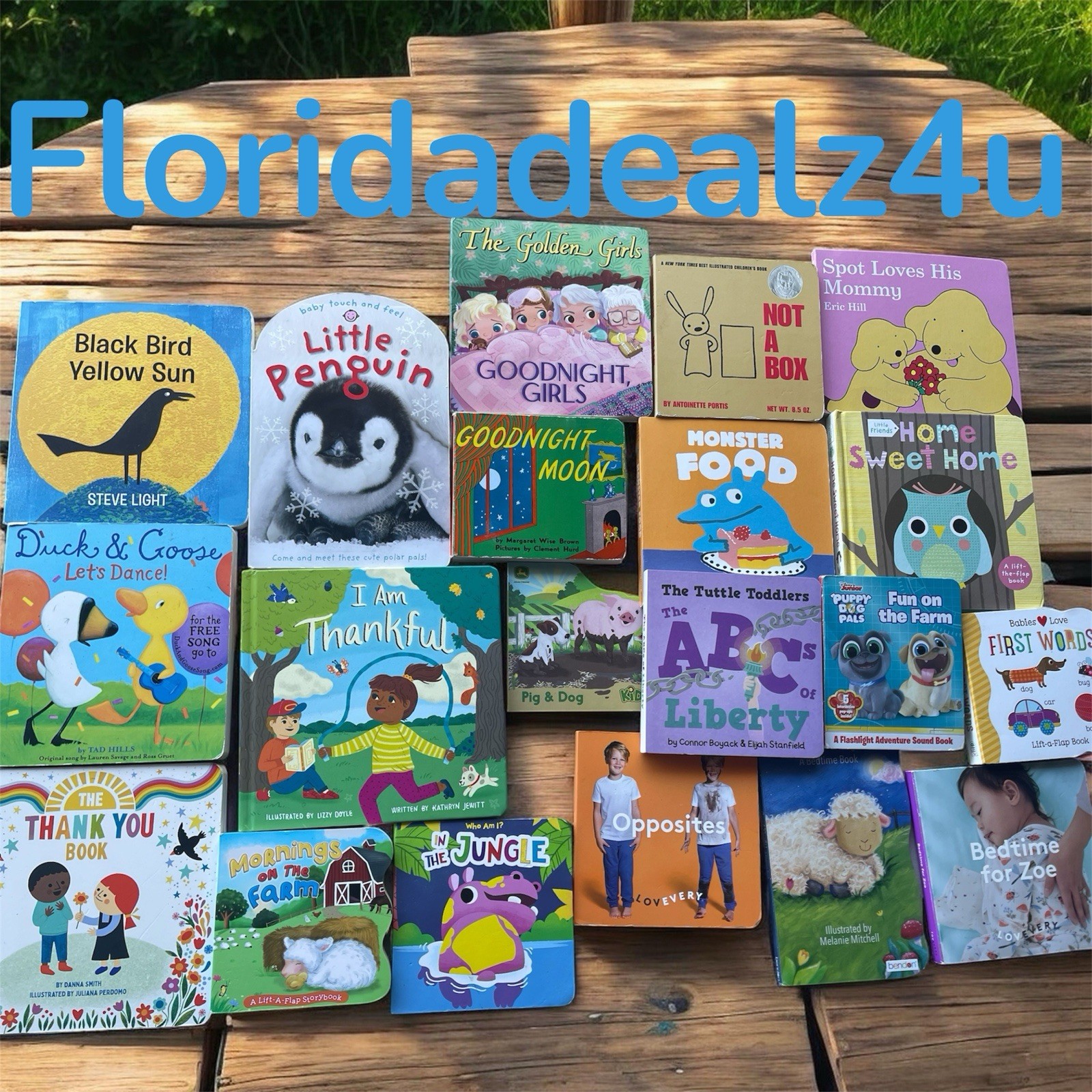 Lot of 20 – Board Books for Children&rsquo;s/ Kids/ Toddler Babies/Preschool/Daycare