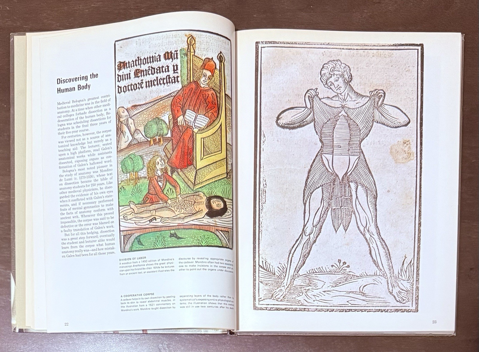 The Physician by Russel V. Lee & Sarel Eimerl, Time Life Science Library. Learn
