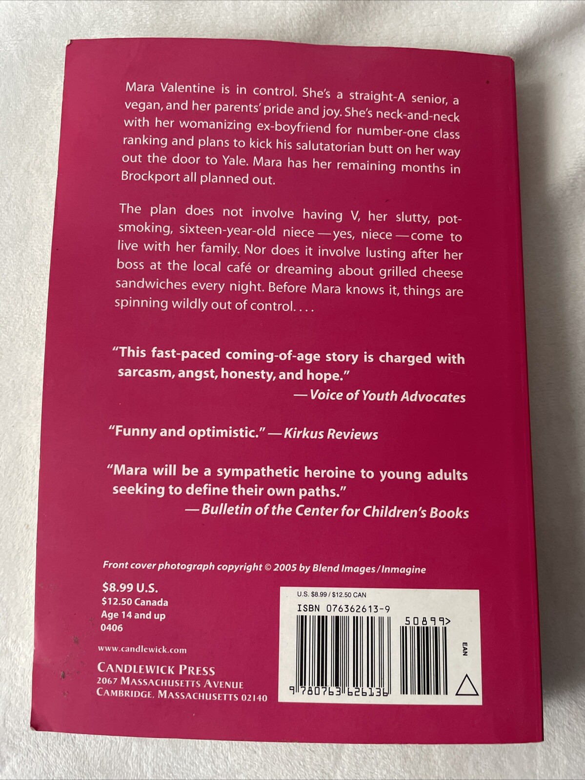 Vegan Virgin Valentine – Paperback By Mackler, Carolyn – VERY GOOD