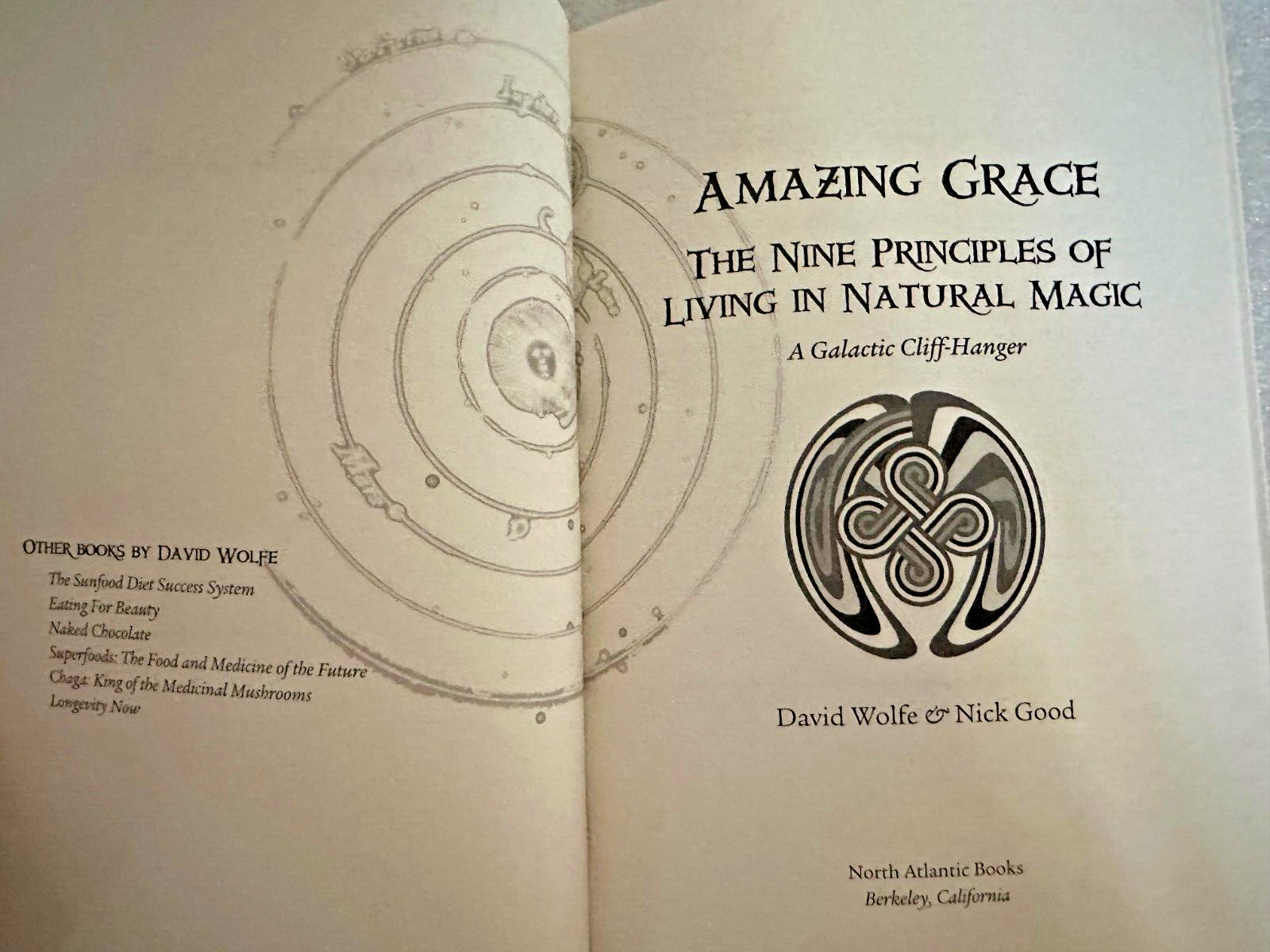 Amazing Grace The Nine Principles Of Living In Natural Magic – David Wolfe 2008