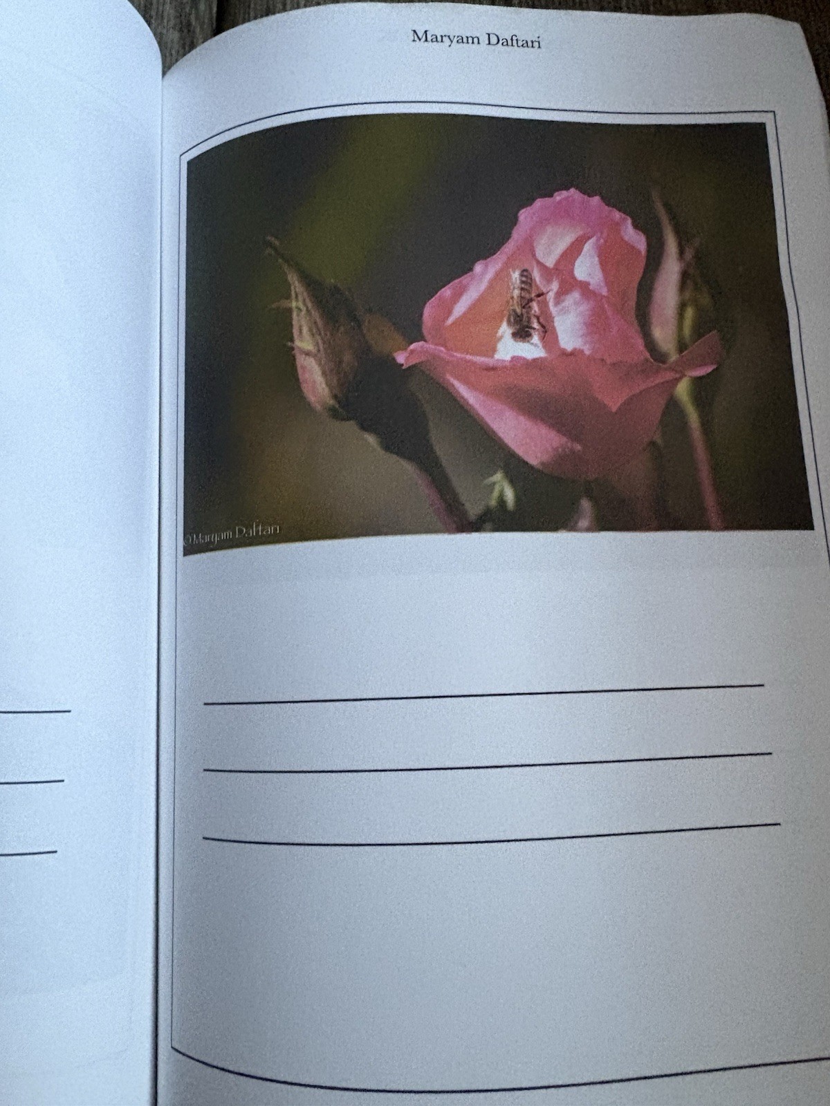 Haiku Workbook Maryam Daftari 2022 Like New Paperback