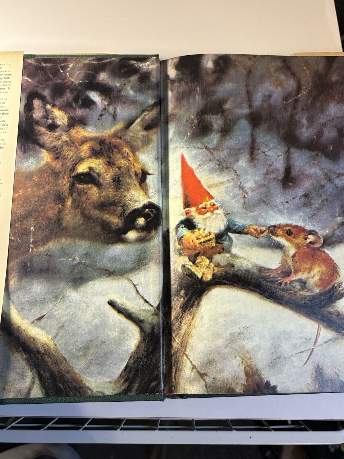 Secrets of the Gnomes by Wil Huygen and Rien Poortvliet (1982, Hardcover)