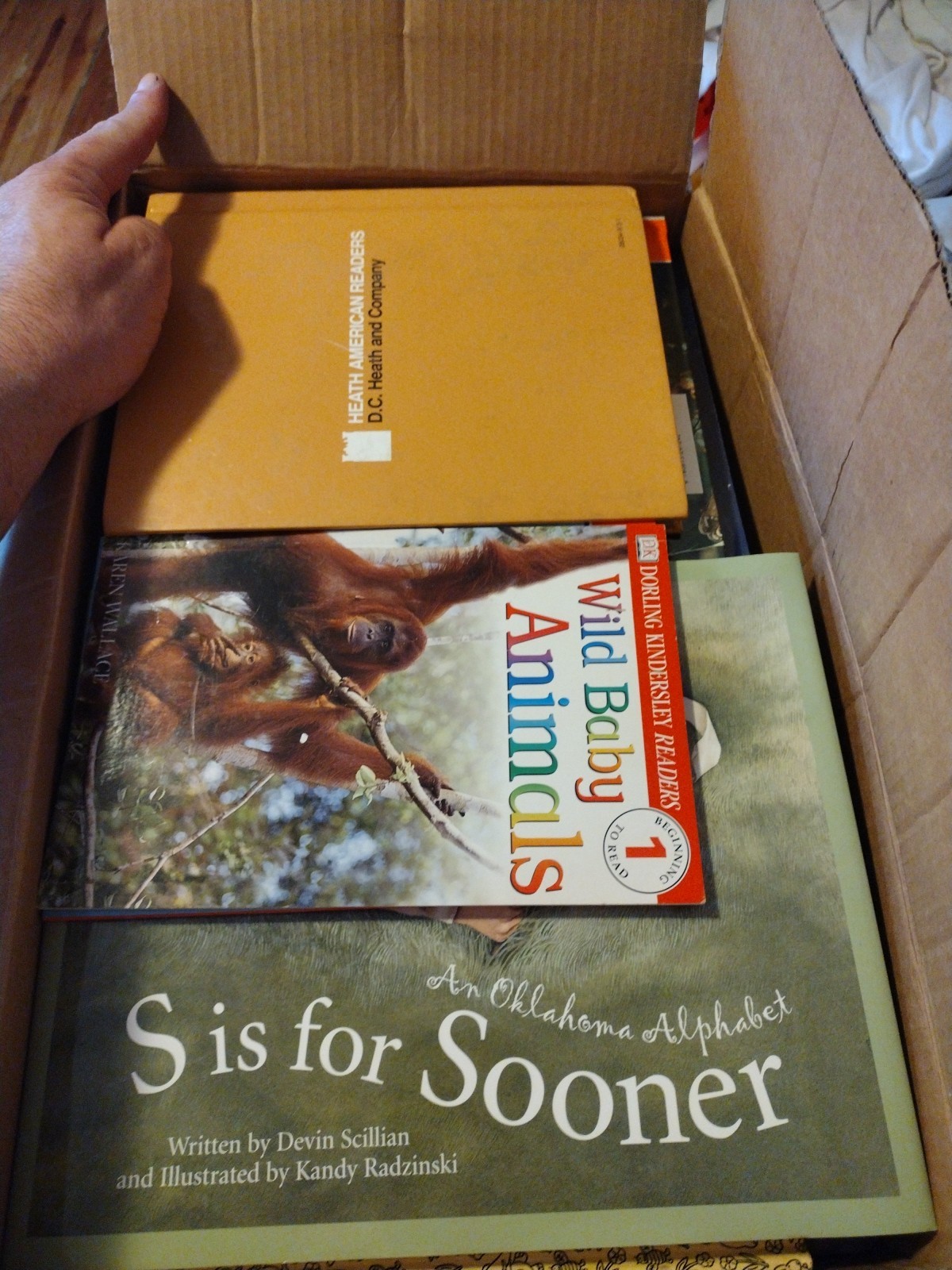 Bulk/Huge Lot of 50 Children&rsquo;s Kids Chapter Books – Random – Free Shipping!