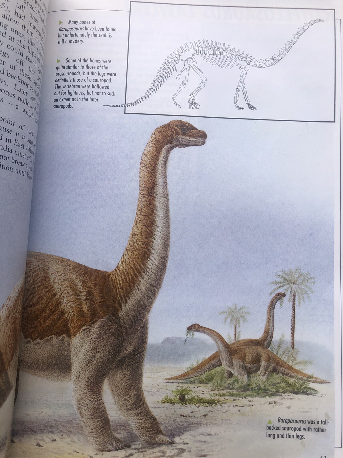 Illustrated Dinosaur Encyclopedia by Dougal Dixon (1988, Hardcover)