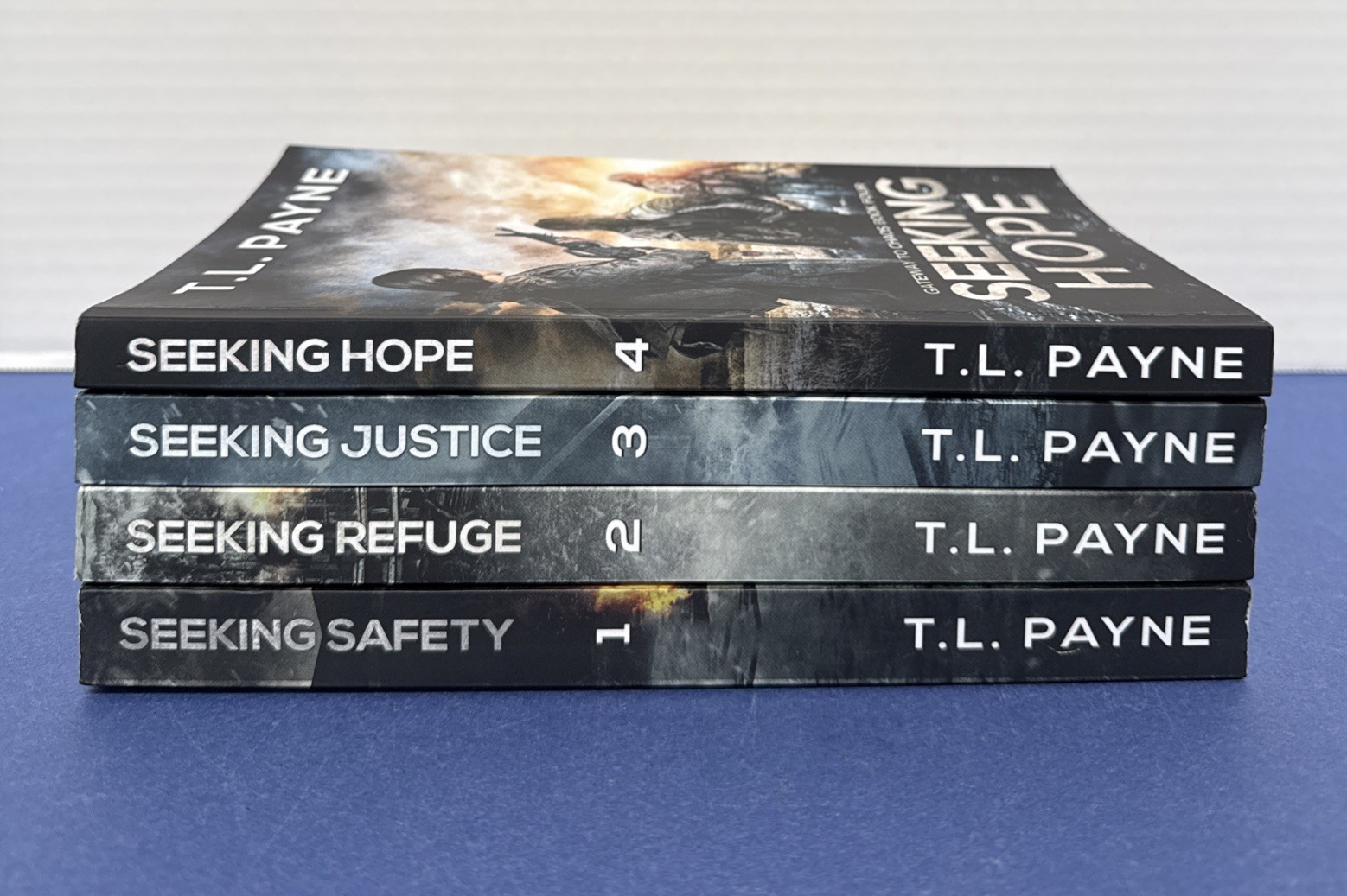 Lot of 4 ~ Trade PB Books ~ T. L. Payne ~ Complete GATEWAY TO CHAOS Series