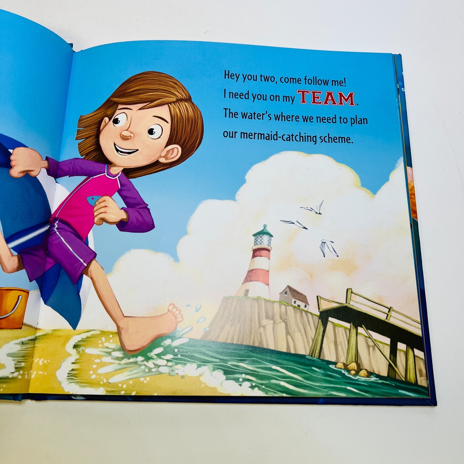 How to Catch a Mermaid Hardcover Adam Wallace & Andy Elkerton
