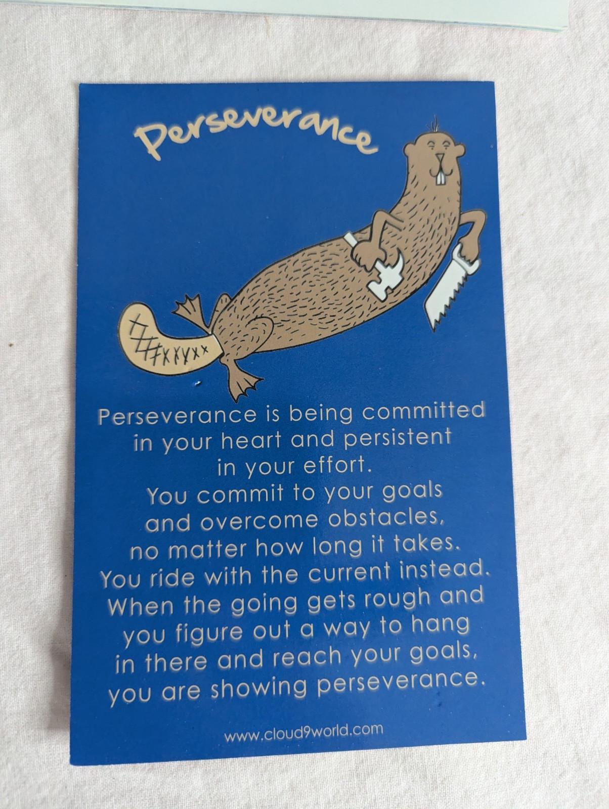 Home School Teachers Cloud 9 world character book PERSEVERANCE 2nd-5th kit
