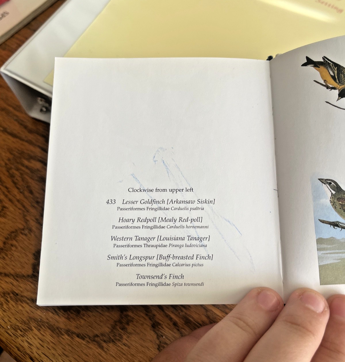 Audubon&rsquo;s Birds of America by Roger & Virginia Peterson (2005 HB) Tiny Folio