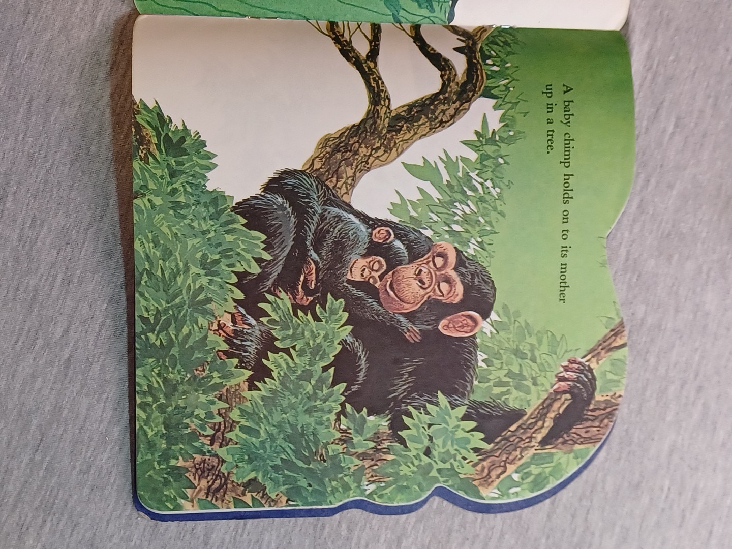 Golden Shaow Book Time To Sleep 1978 Kathleen Allan Meyer Rod Ruth Western Press