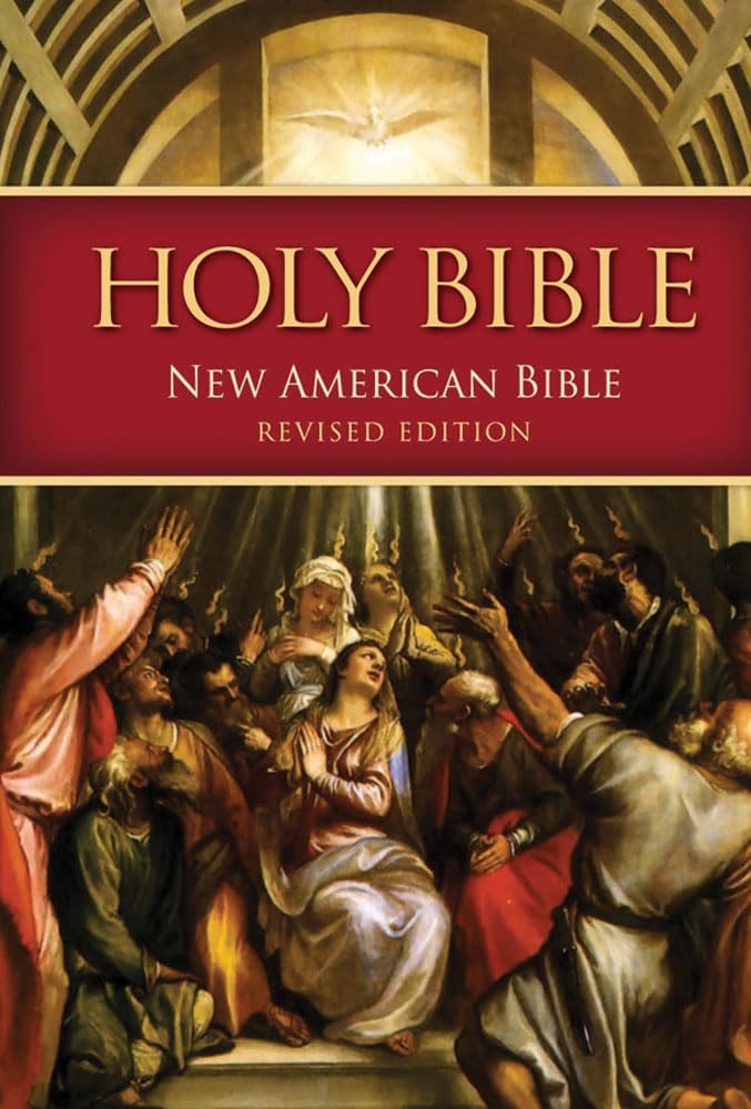 NABRE – New American Bible Revised Edition (Quality Paperbound): Standard Si…