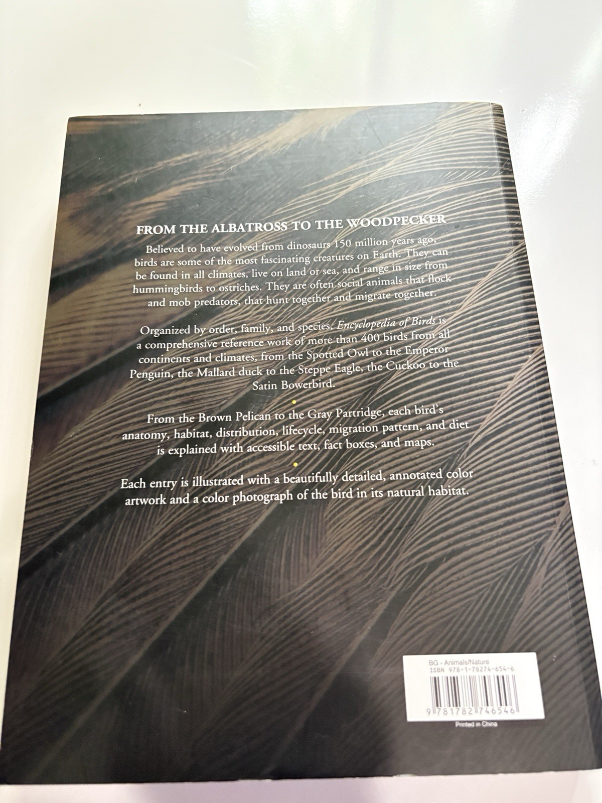 Encyclopedia of Birds: 400 Species from Around the World 448 Pages 9&Prime;x12&Prime;