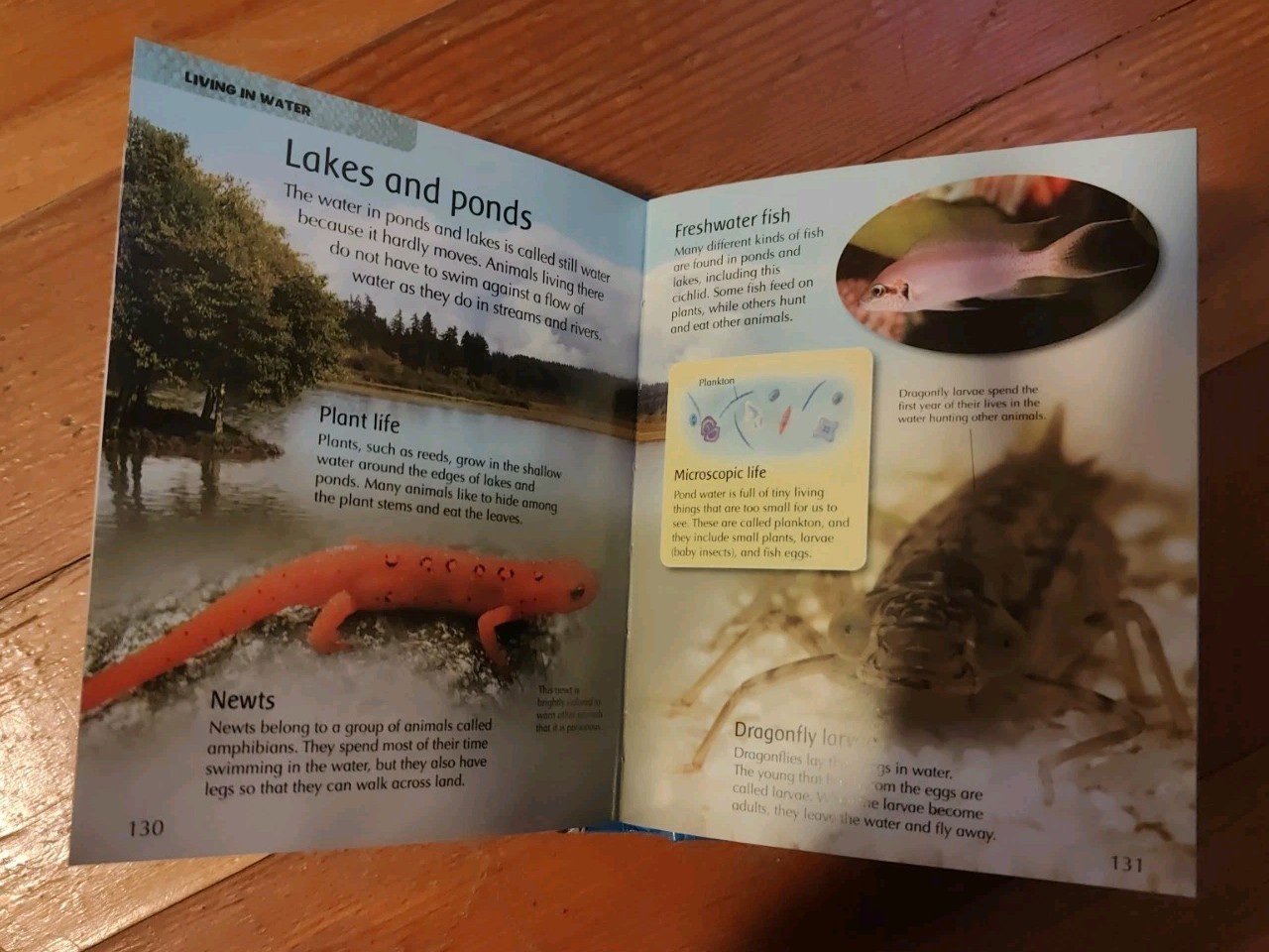 Mini Children&rsquo;s Reference Ser.: My First Animal Encyclopedia (2008, Hardcover)
