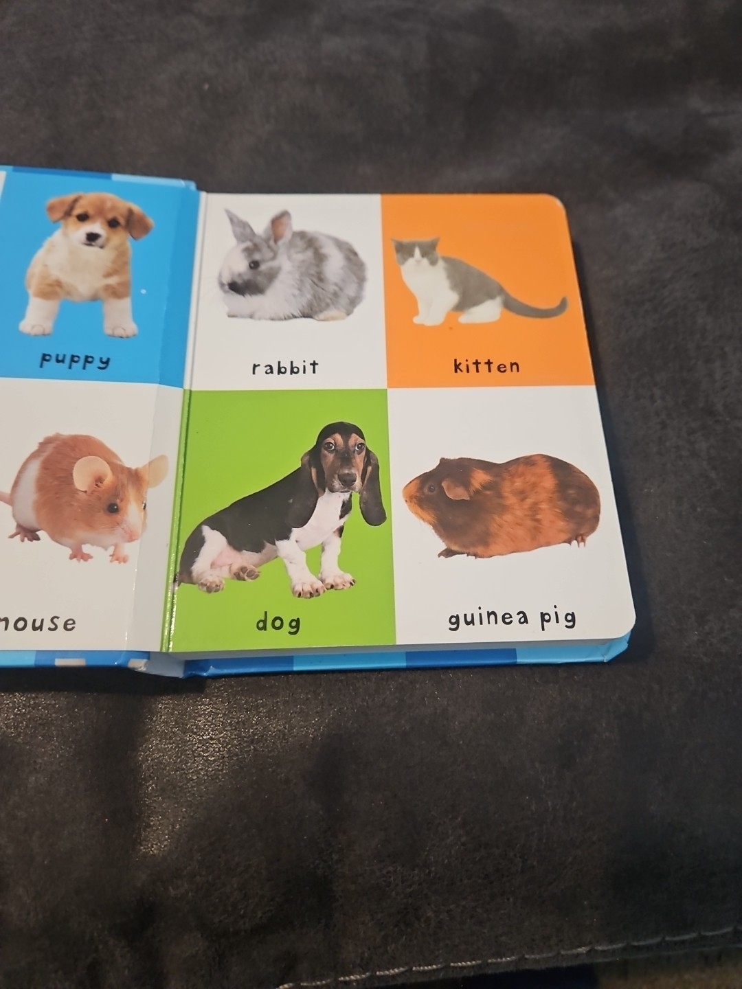 2011, « First 100 Animals » by Roger Priddy Children&rsquo;s Board Book
