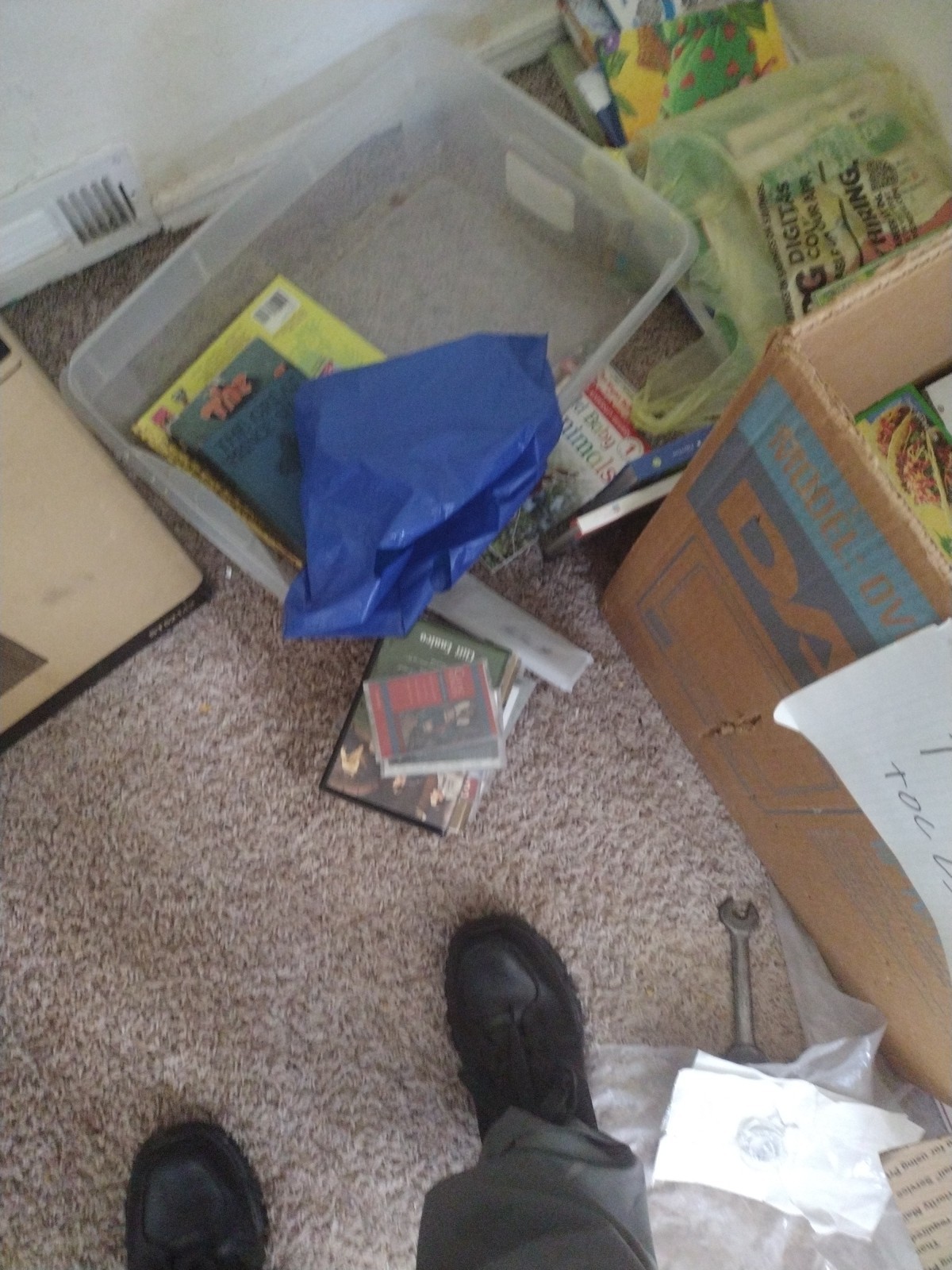 Bulk/Huge Lot of 50 Children&rsquo;s Kids Chapter Books – Random – Free Shipping!