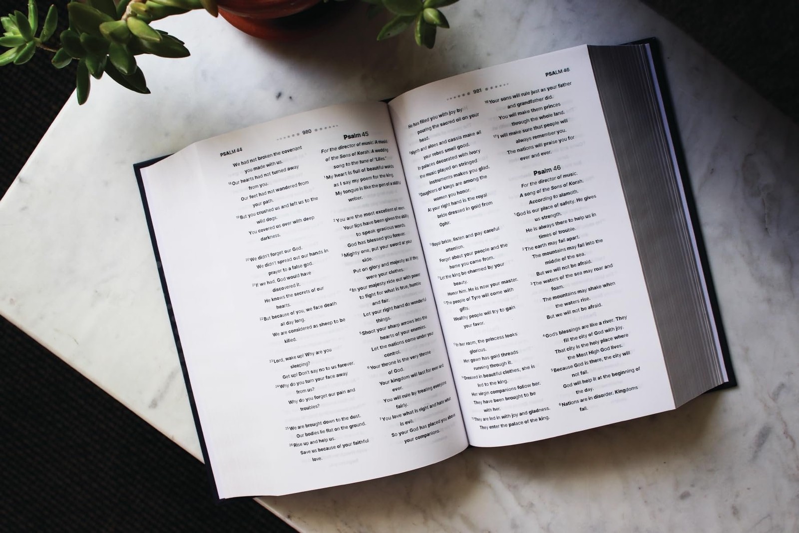 NIrV, Clear Focus Bible, Hardcover, Charcoal/Blue: Read more of the Bible…