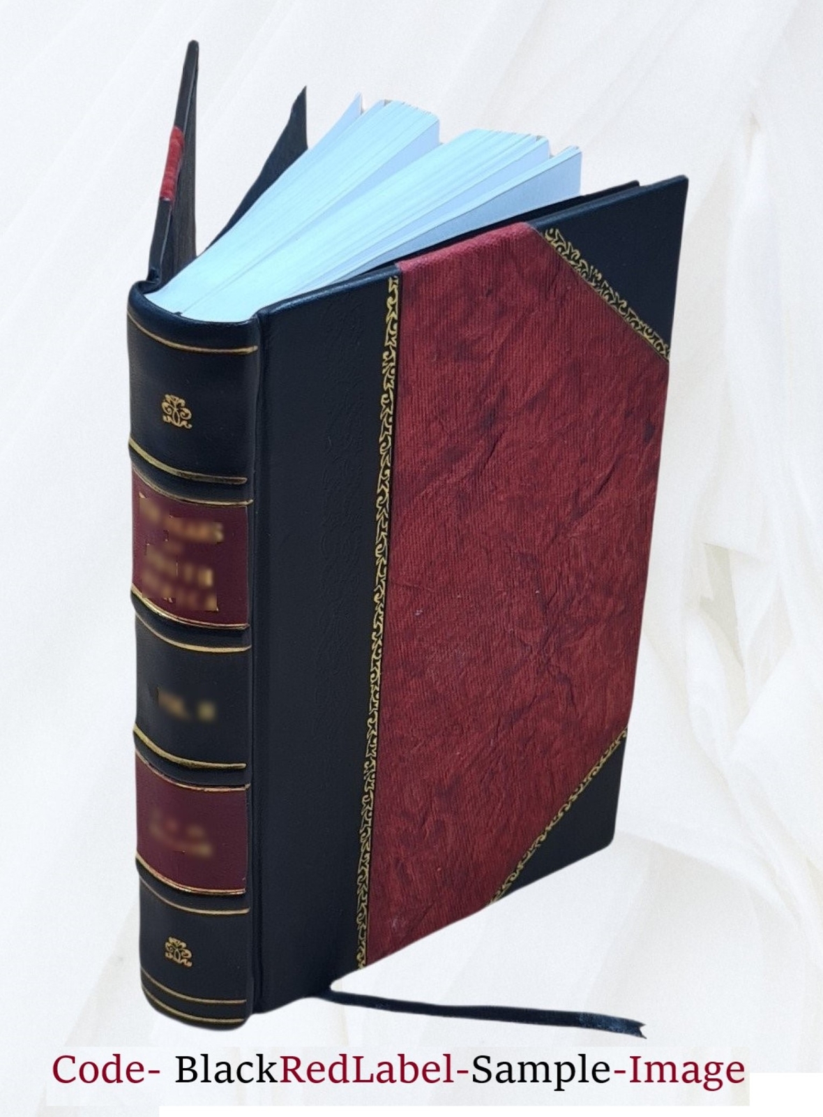 Consumption Its Prevention And Cure By The Water Treatment 1850 [Leather Bound]
