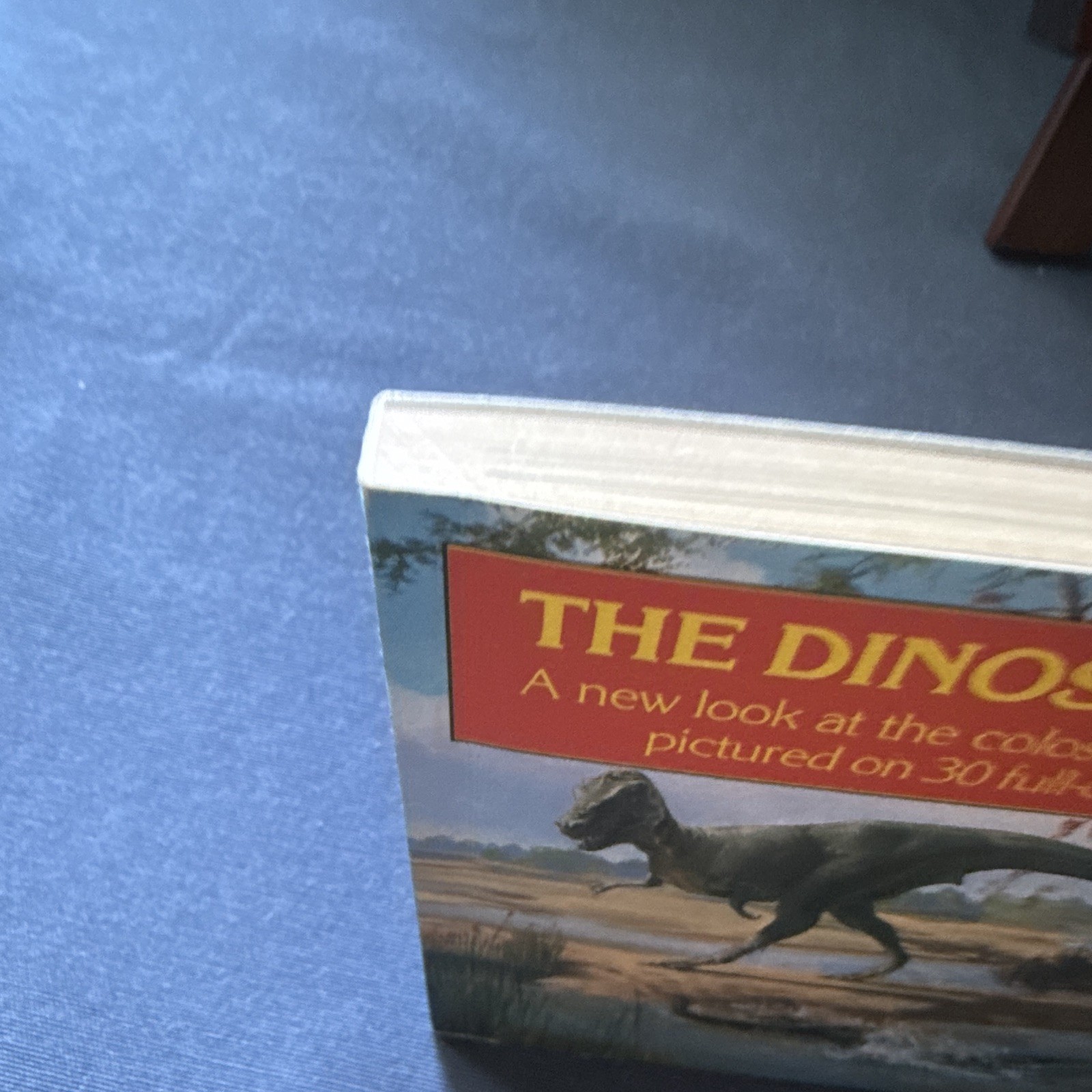 The Dinosaurs Postcard Book Framable Art Prints 1987 Toby Schmid Illus Hallett