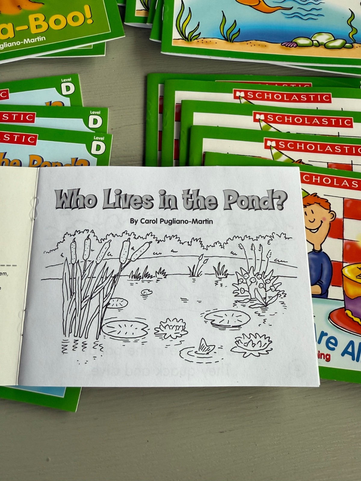 Scholastic Little Leveled Readers LEVEL D 75 Books (5 Copies 15 Titles) Box Set