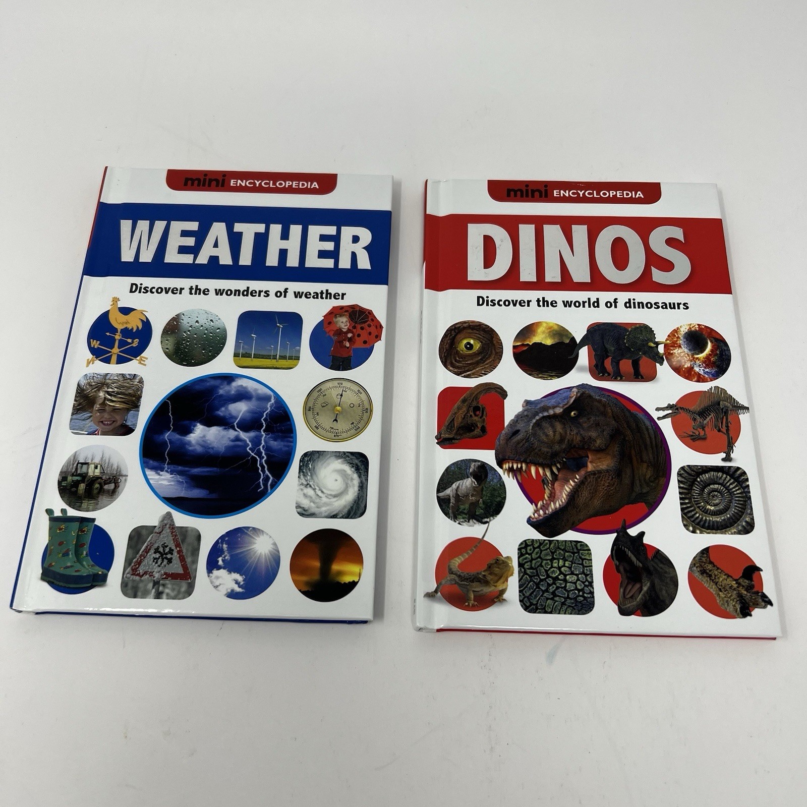 Children&rsquo;s Mini Encyclopedia Lot of 2 Weather Dino&rsquo;s New